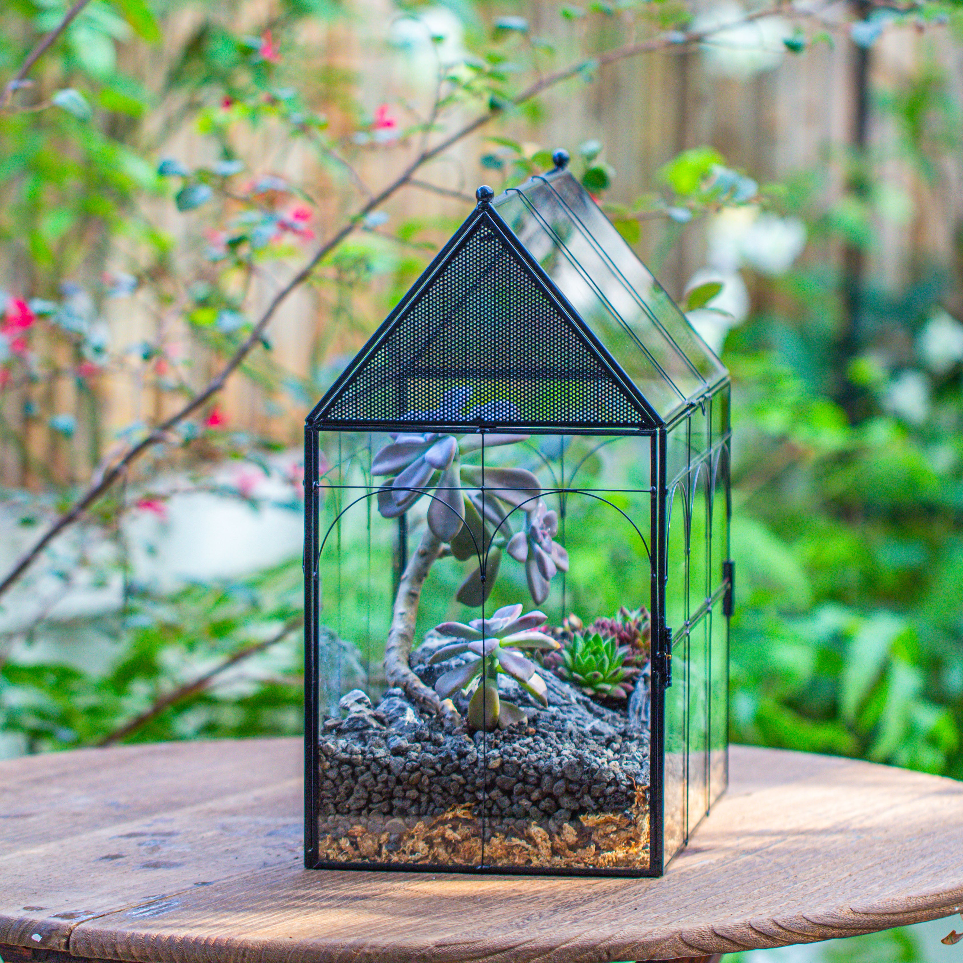 Large Vintage House Shape Insect Terrarium with Vent for Tarantulas, Mantis, Stick Insects -13" - NCYPgarden