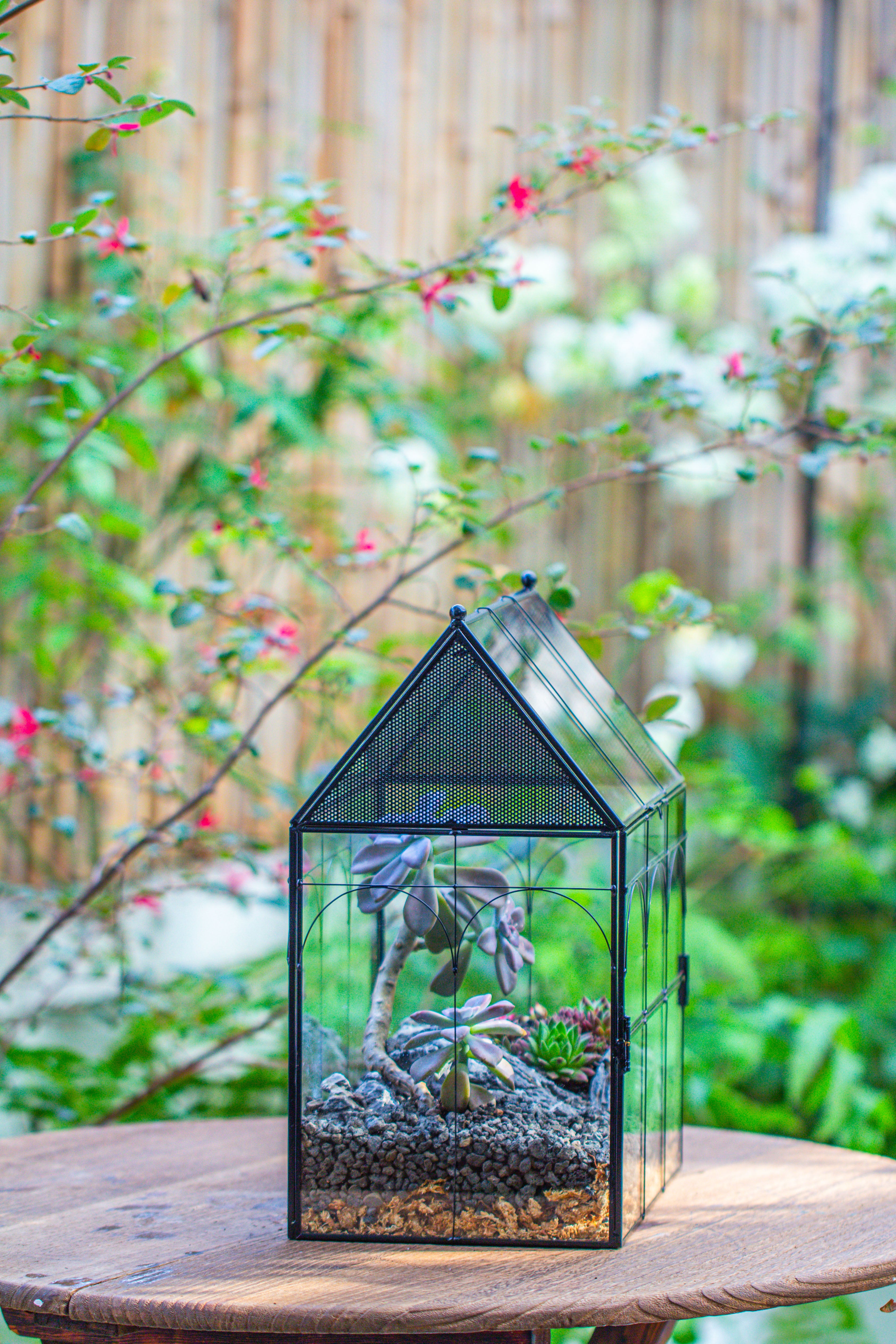 Large Vintage House Shape Insect Terrarium with Vent for Tarantulas, Mantis, Stick Insects -13" - NCYPgarden