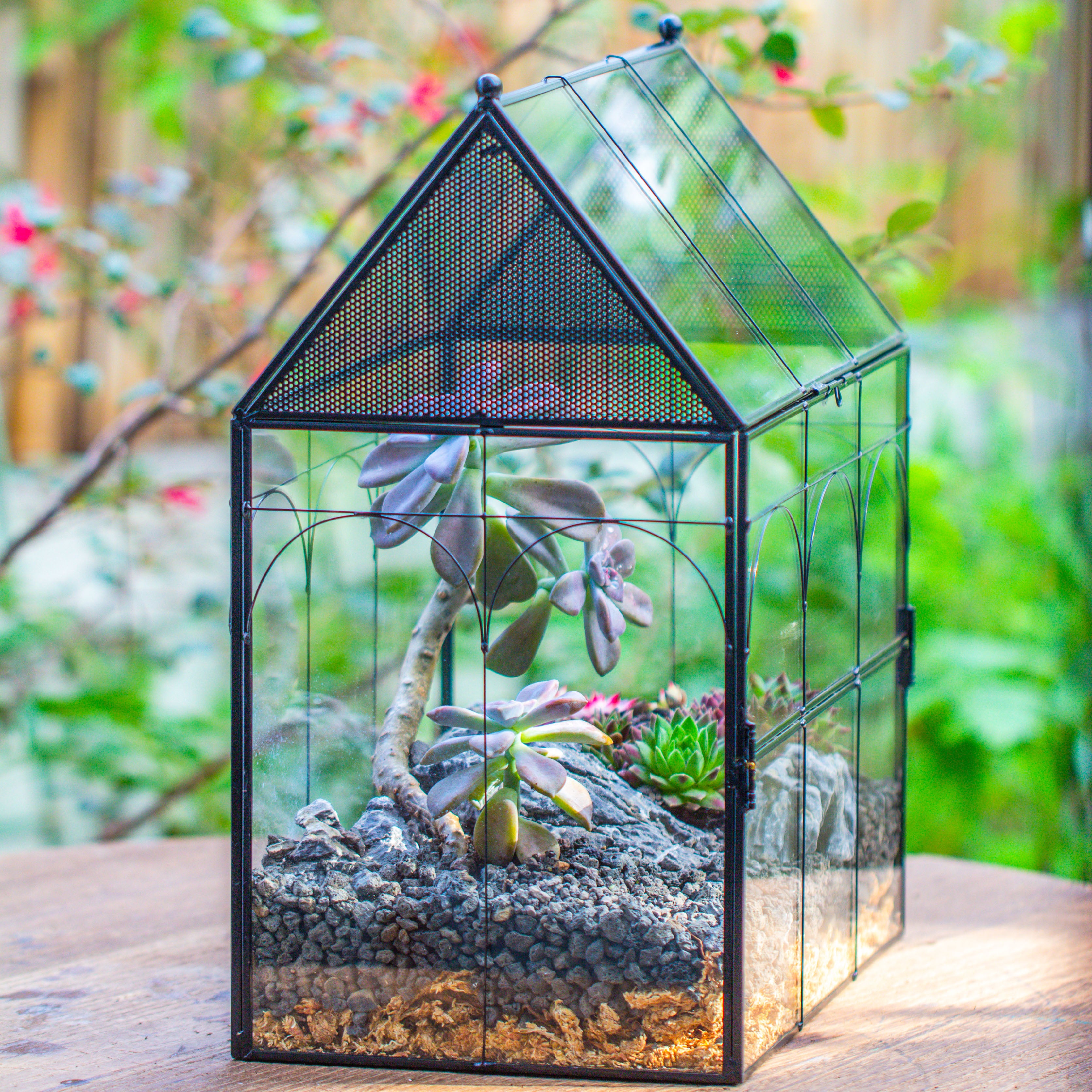 Large Vintage House Shape Insect Terrarium with Vent for Tarantulas, Mantis, Stick Insects -13" - NCYPgarden