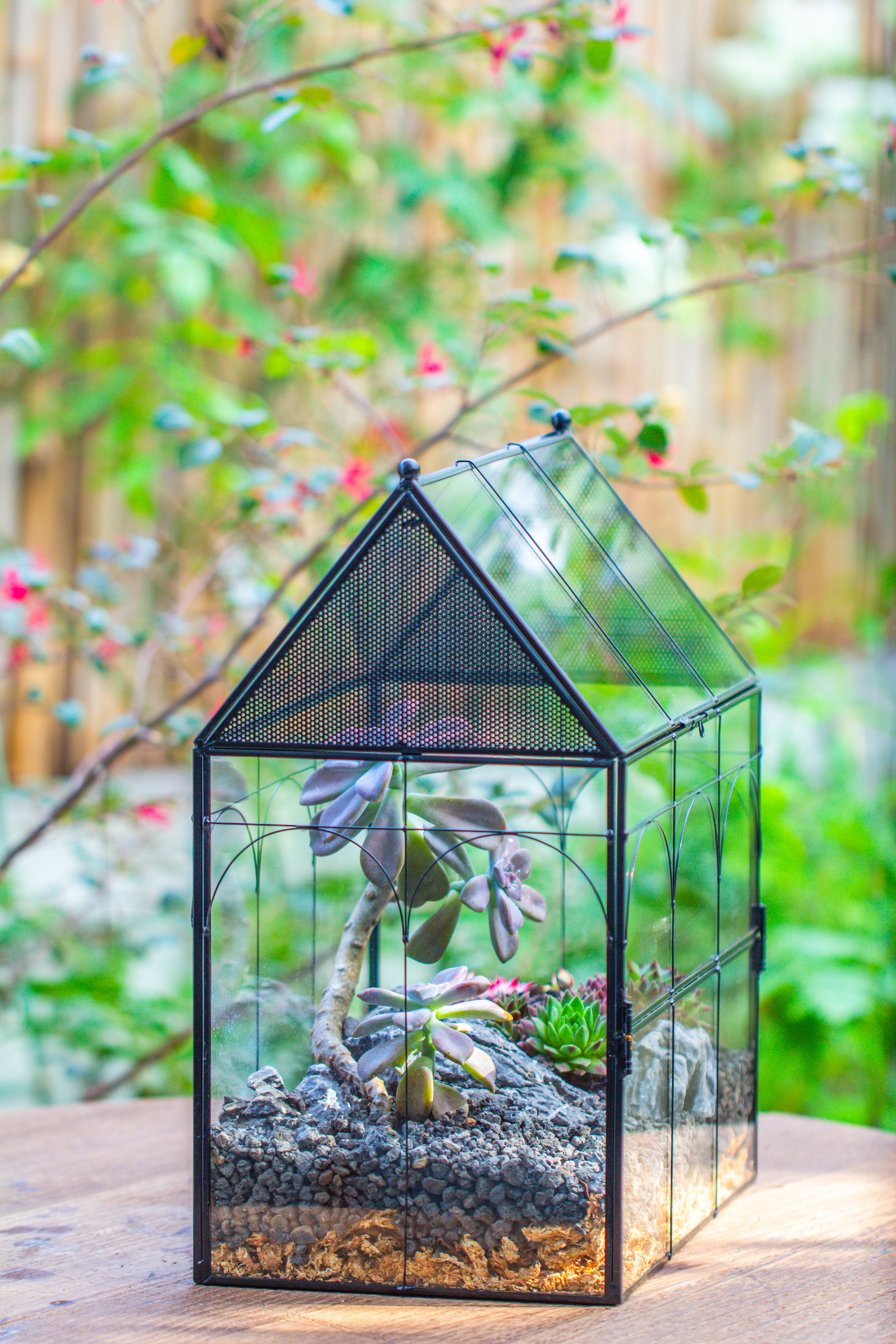 Large Vintage House Shape Insect Terrarium with Vent for Tarantulas, Mantis, Stick Insects -13" - NCYPgarden