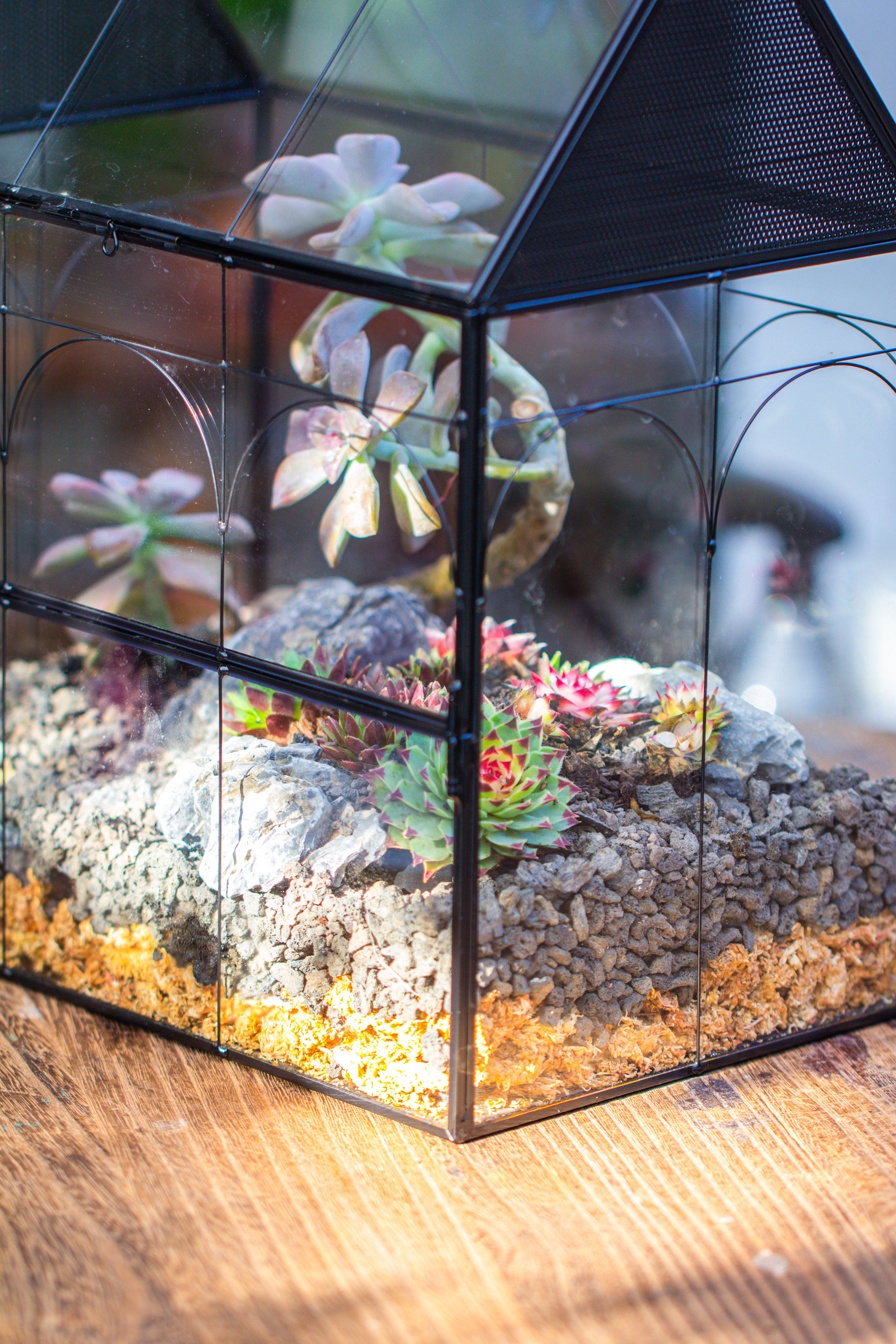 Large Vintage House Shape Insect Terrarium with Vent for Tarantulas, Mantis, Stick Insects -13" - NCYPgarden