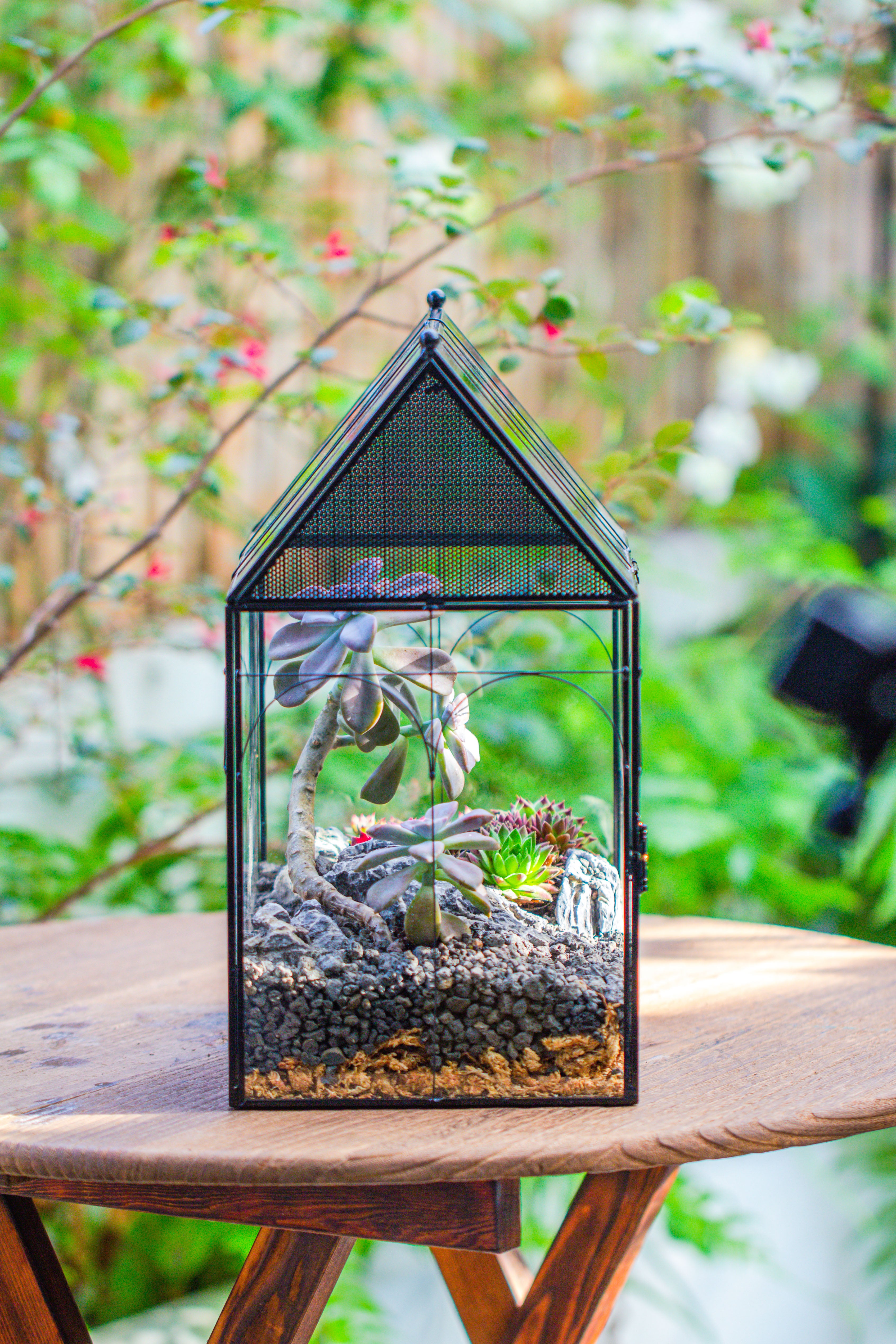 Large Vintage House Shape Insect Terrarium with Vent for Tarantulas, Mantis, Stick Insects -13" - NCYPgarden