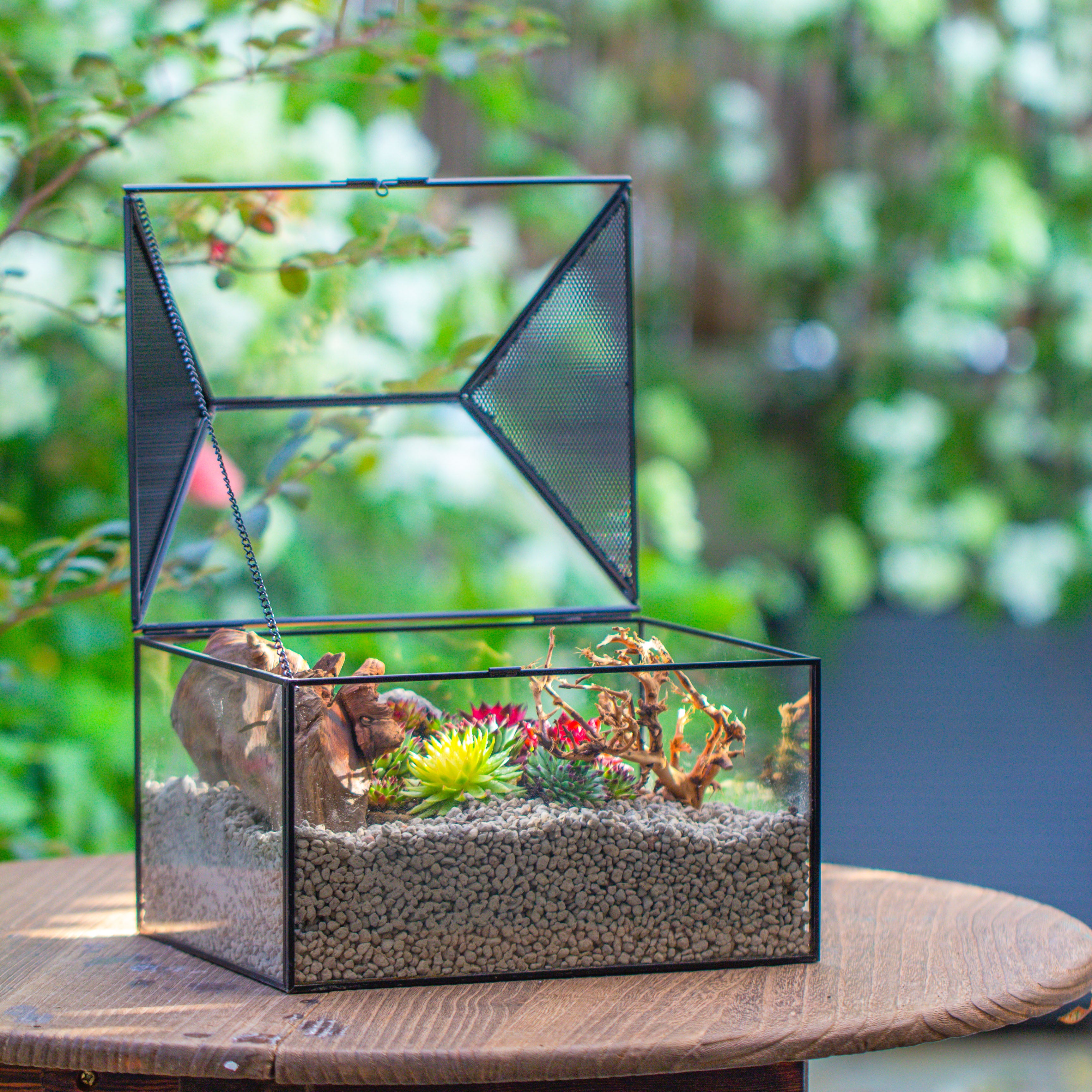 Handmade Medium House Shape Terrarium Enclosure with Mesh Vent for Insects, Terrarium Only - NCYPgarden