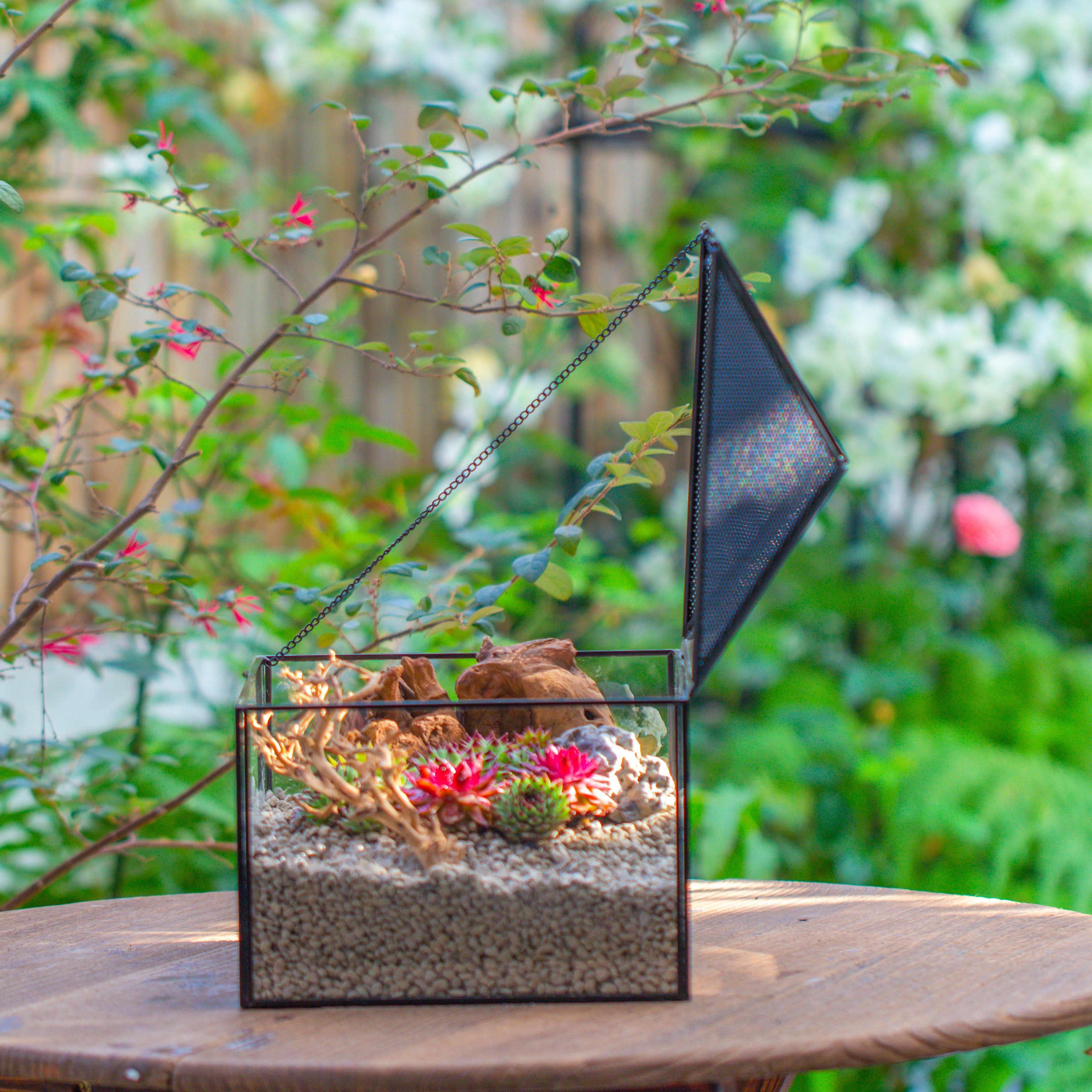 Handmade Medium House Shape Terrarium Enclosure with Mesh Vent for Insects, Terrarium Only - NCYPgarden