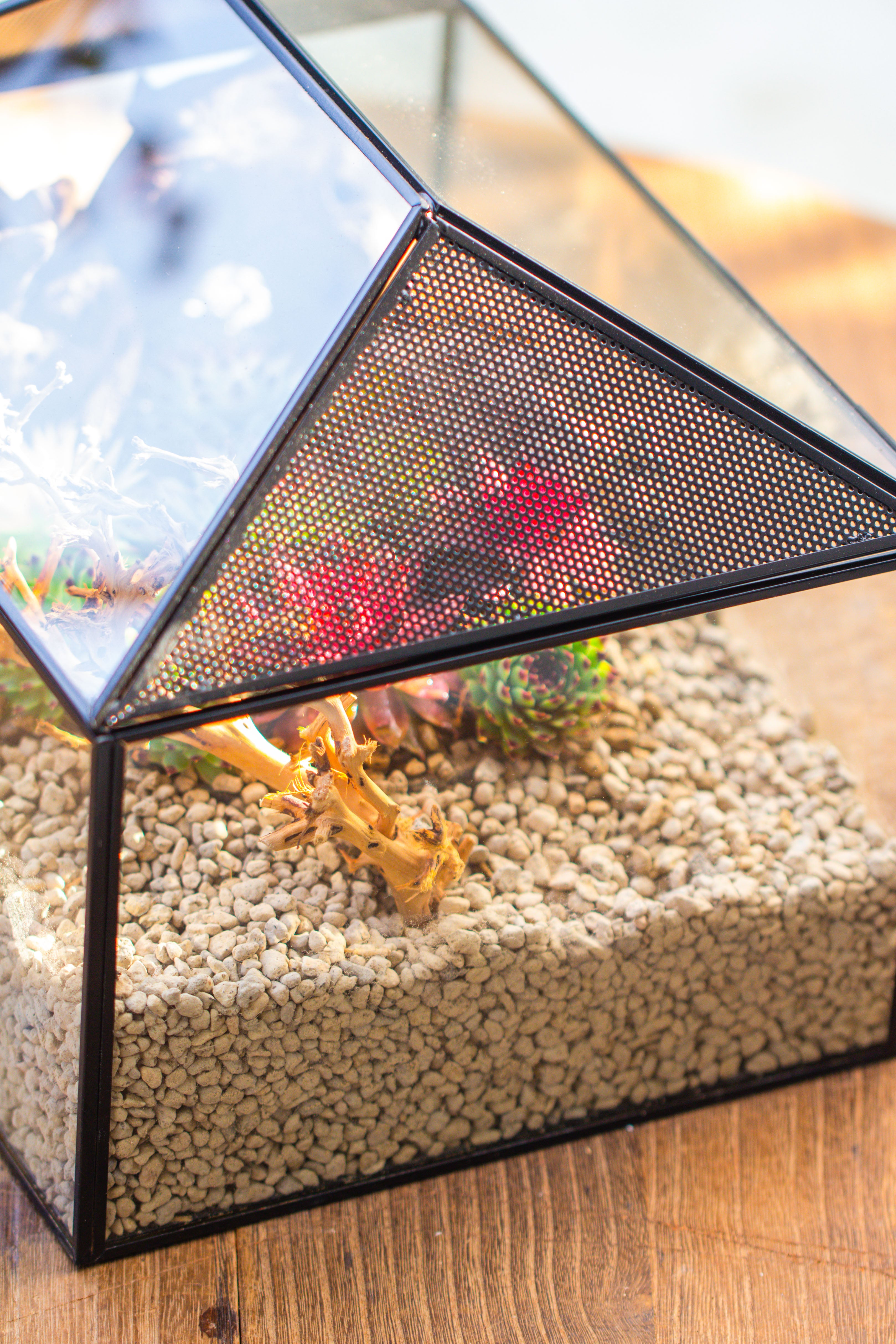 Handmade Medium House Shape Terrarium Enclosure with Mesh Vent for Insects, Terrarium Only - NCYPgarden
