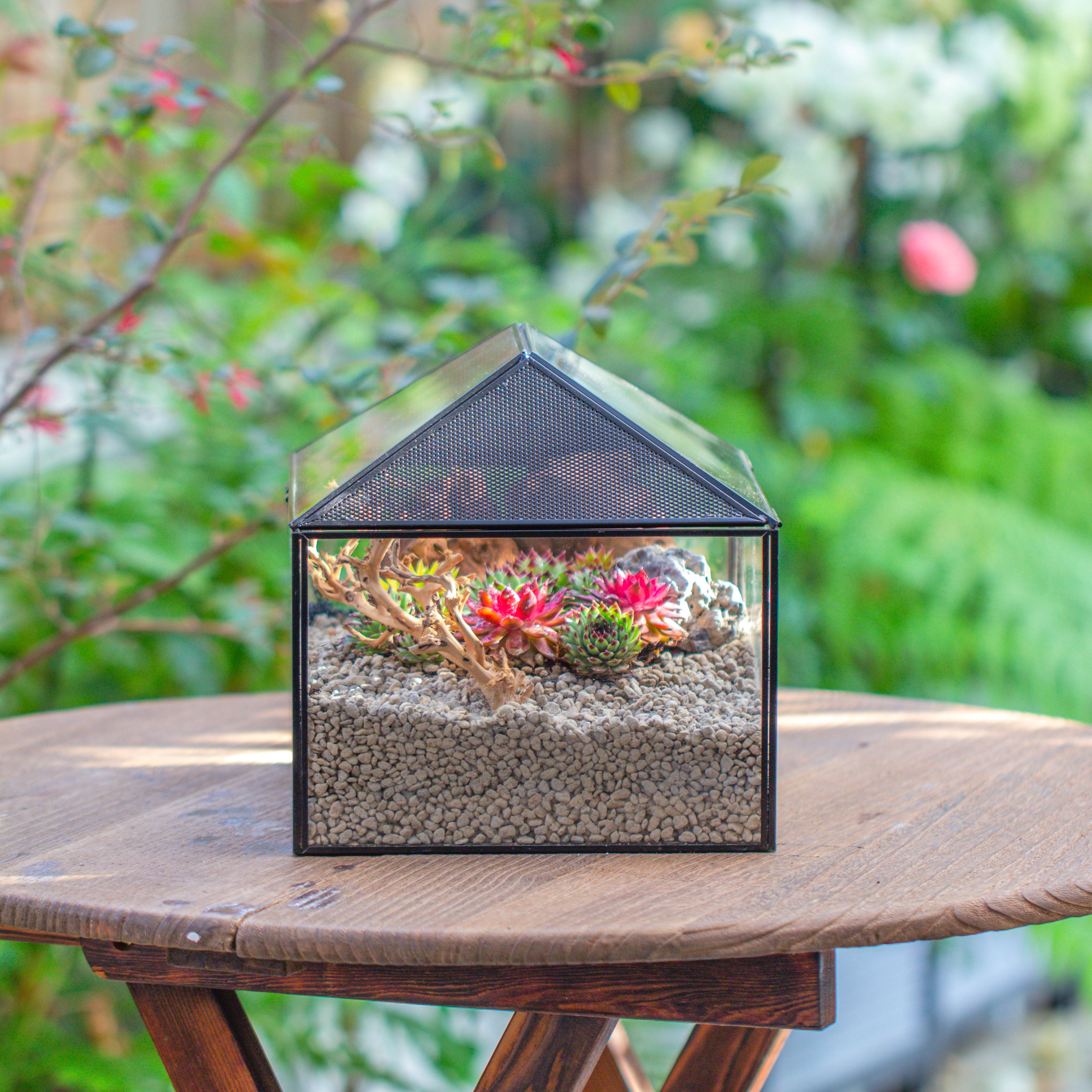 Handmade Medium House Shape Terrarium Enclosure with Mesh Vent for Insects, Terrarium Only - NCYPgarden