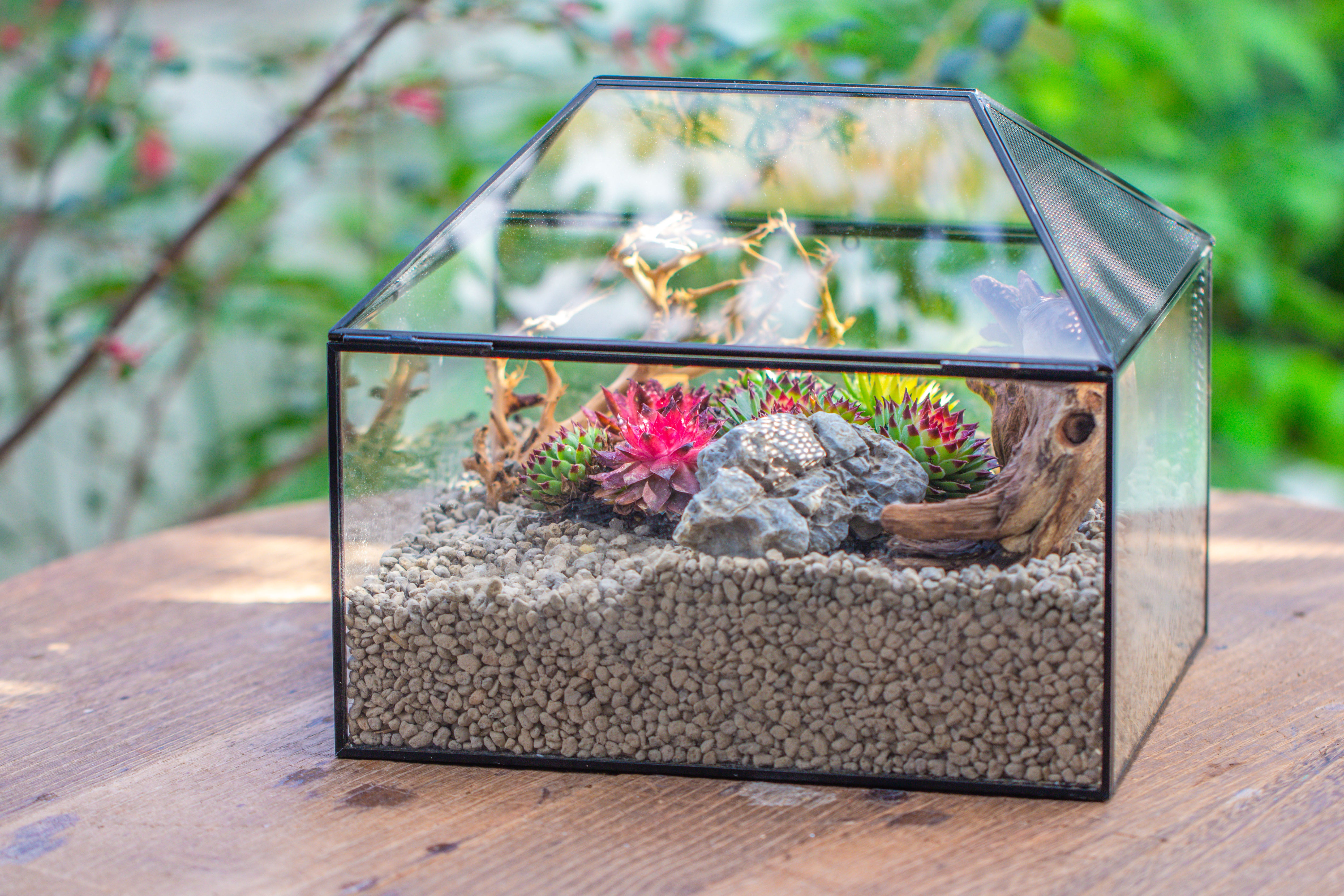 Handmade Medium House Shape Terrarium Enclosure with Mesh Vent for Insects, Terrarium Only - NCYPgarden