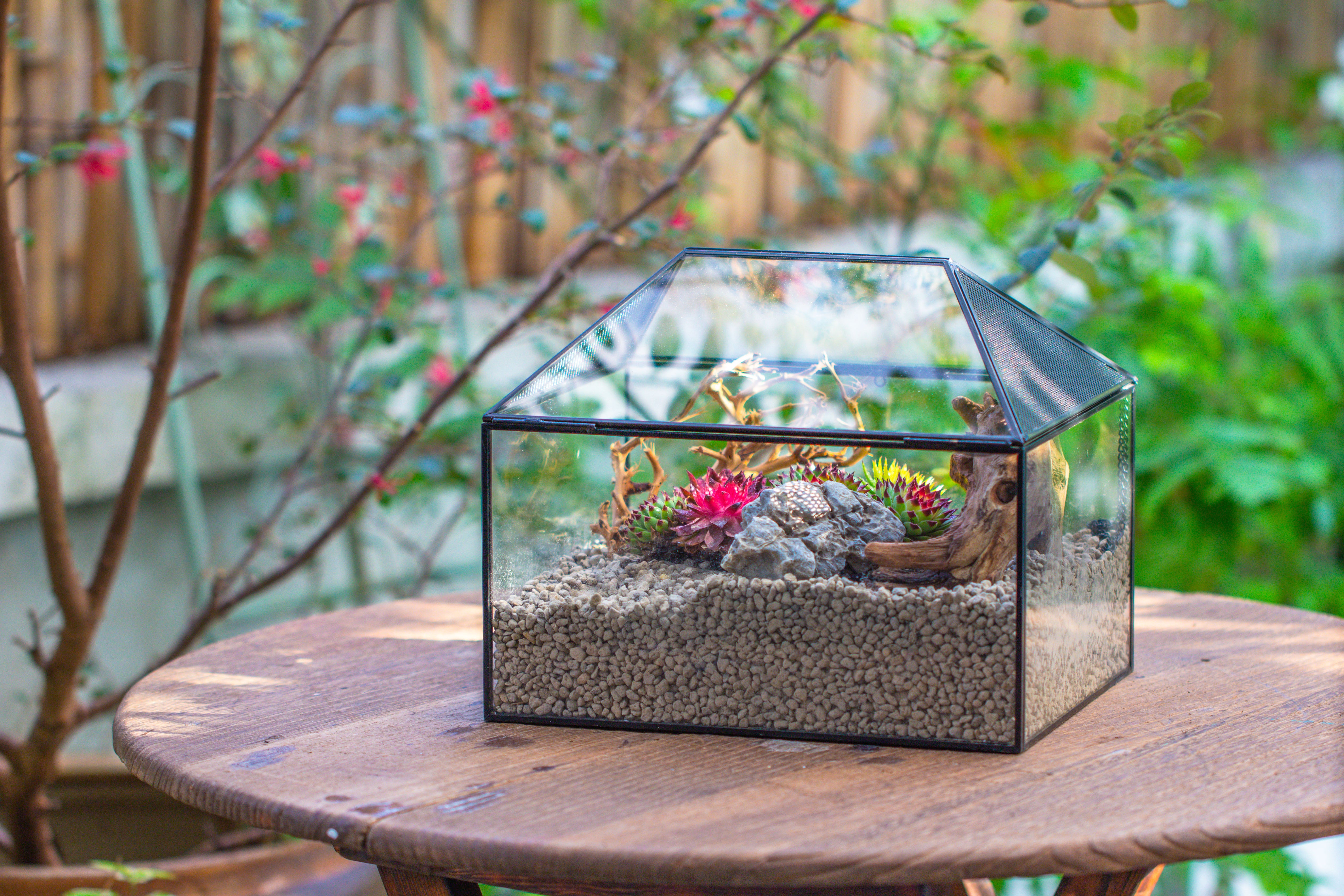 Handmade Medium House Shape Terrarium Enclosure with Mesh Vent for Insects, Terrarium Only - NCYPgarden