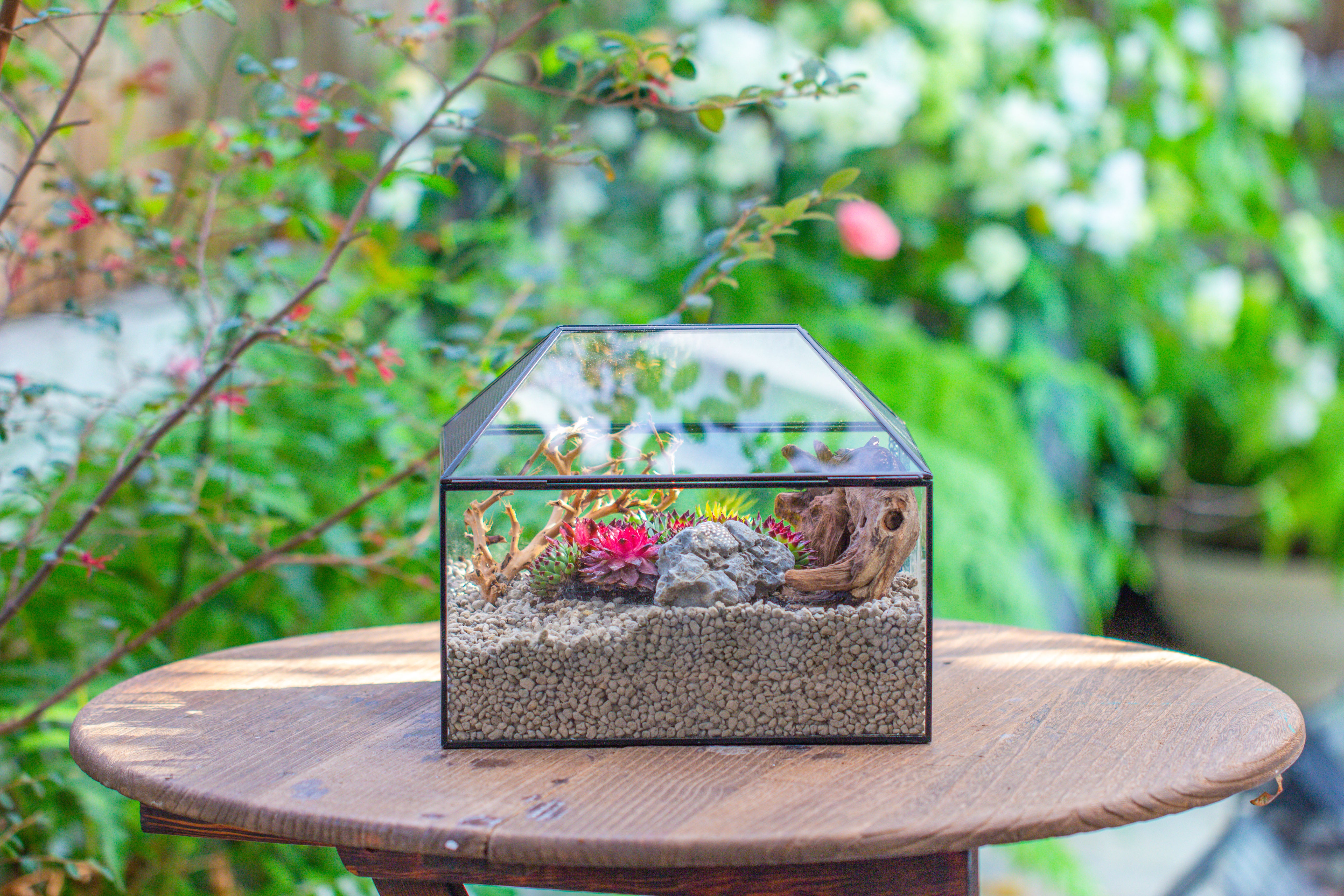 Handmade Medium House Shape Terrarium Enclosure with Mesh Vent for Insects, Terrarium Only - NCYPgarden