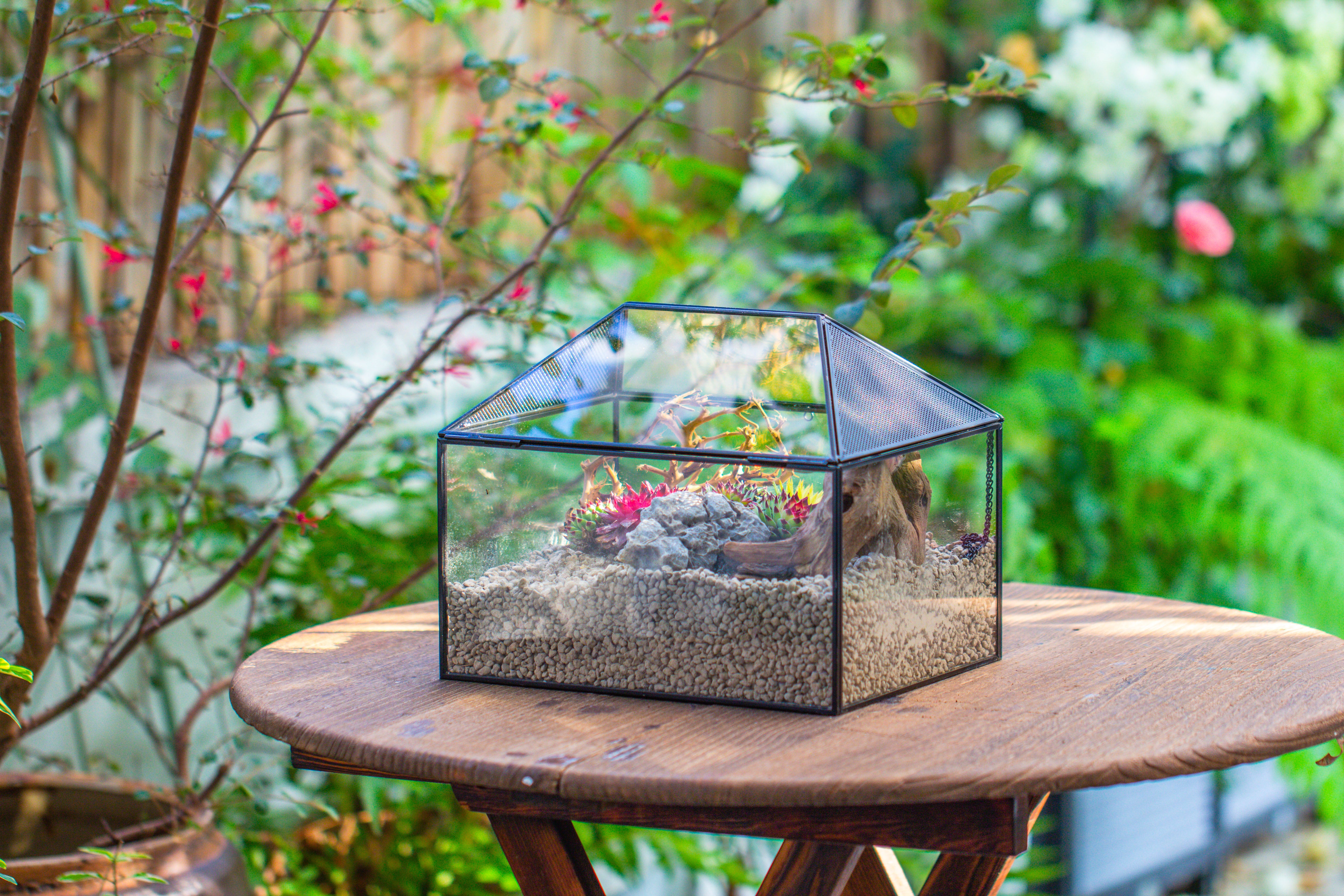 Handmade Medium House Shape Terrarium Enclosure with Mesh Vent for Insects, Terrarium Only - NCYPgarden