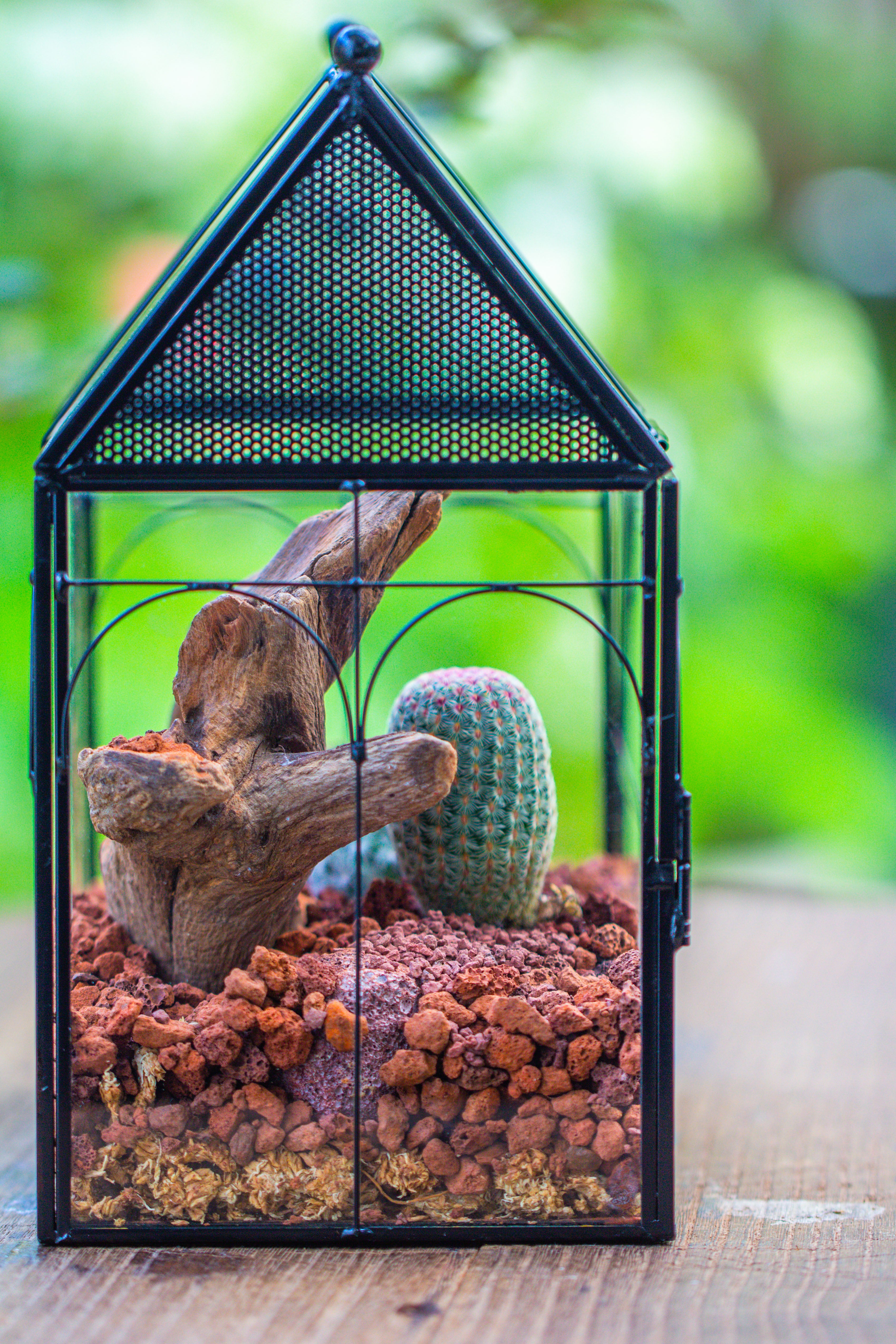 NCYP Vintage House Shape Glass Geometric Terrarium, with side door, with Mesh / vent holes for small Insects Pet - NCYPgarden