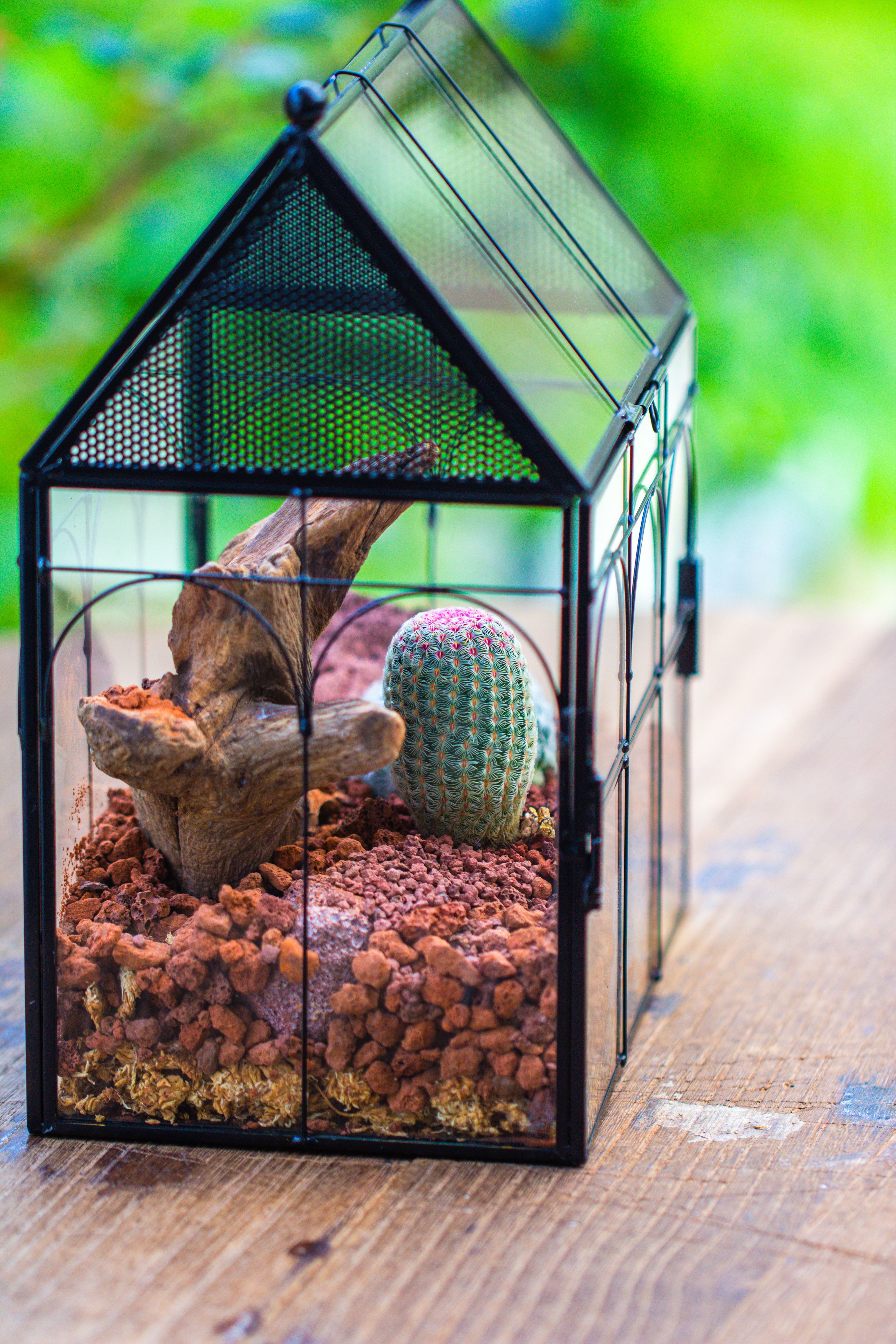 NCYP Vintage House Shape Glass Geometric Terrarium, with side door, with Mesh / vent holes for small Insects Pet - NCYPgarden