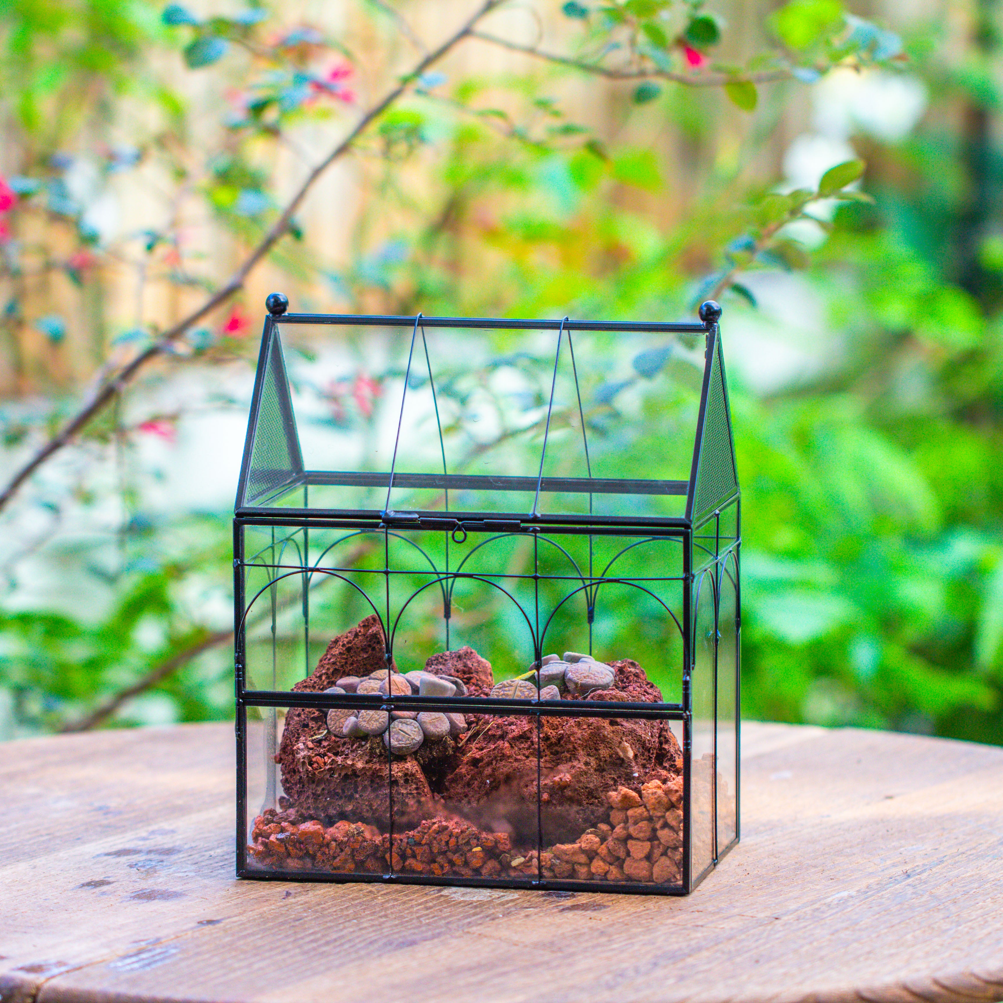 NCYP Vintage House Shape Glass Geometric Terrarium, with side door, with Mesh / vent holes for small Insects Pet - NCYPgarden