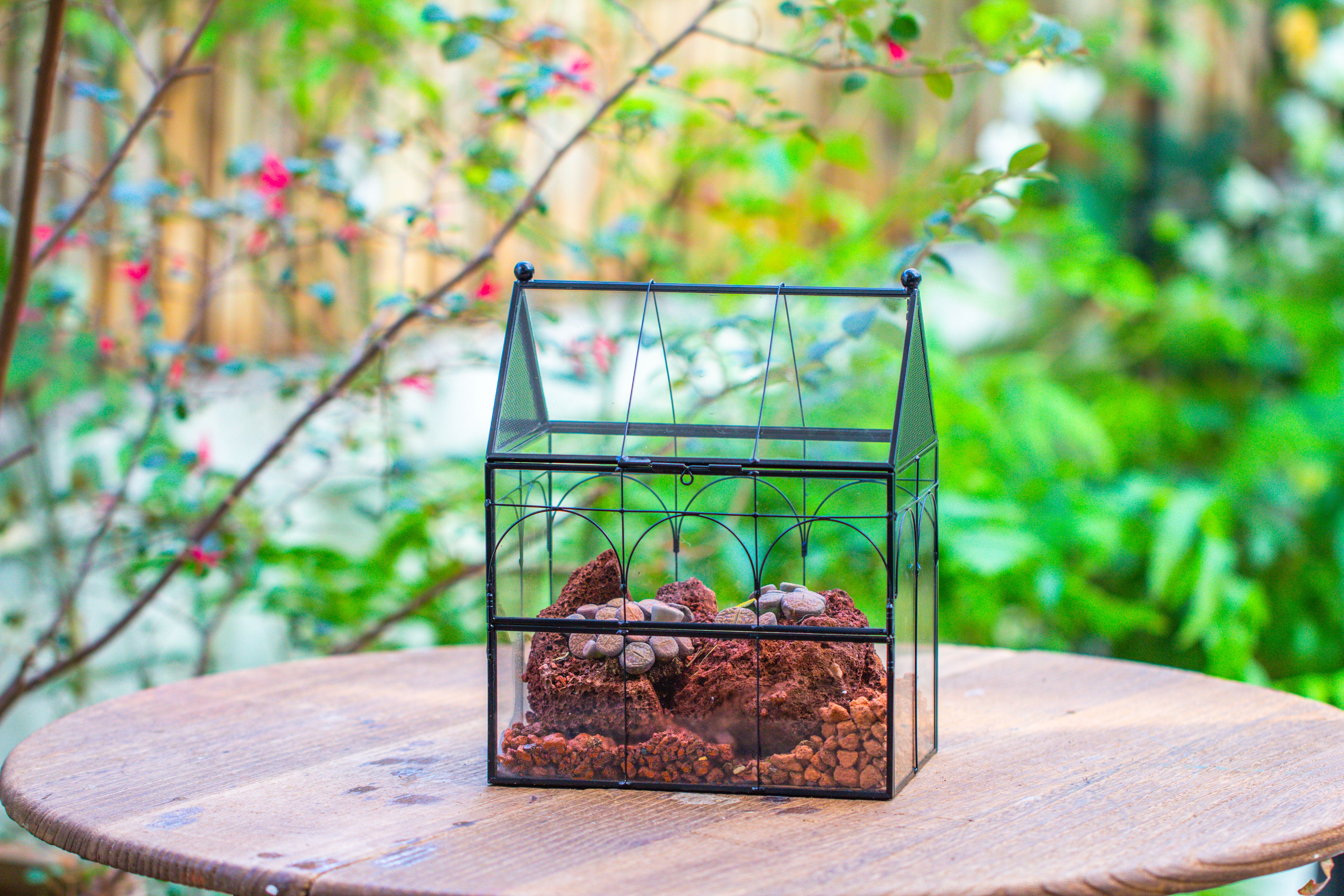 NCYP Vintage House Shape Glass Geometric Terrarium, with side door, with Mesh / vent holes for small Insects Pet - NCYPgarden