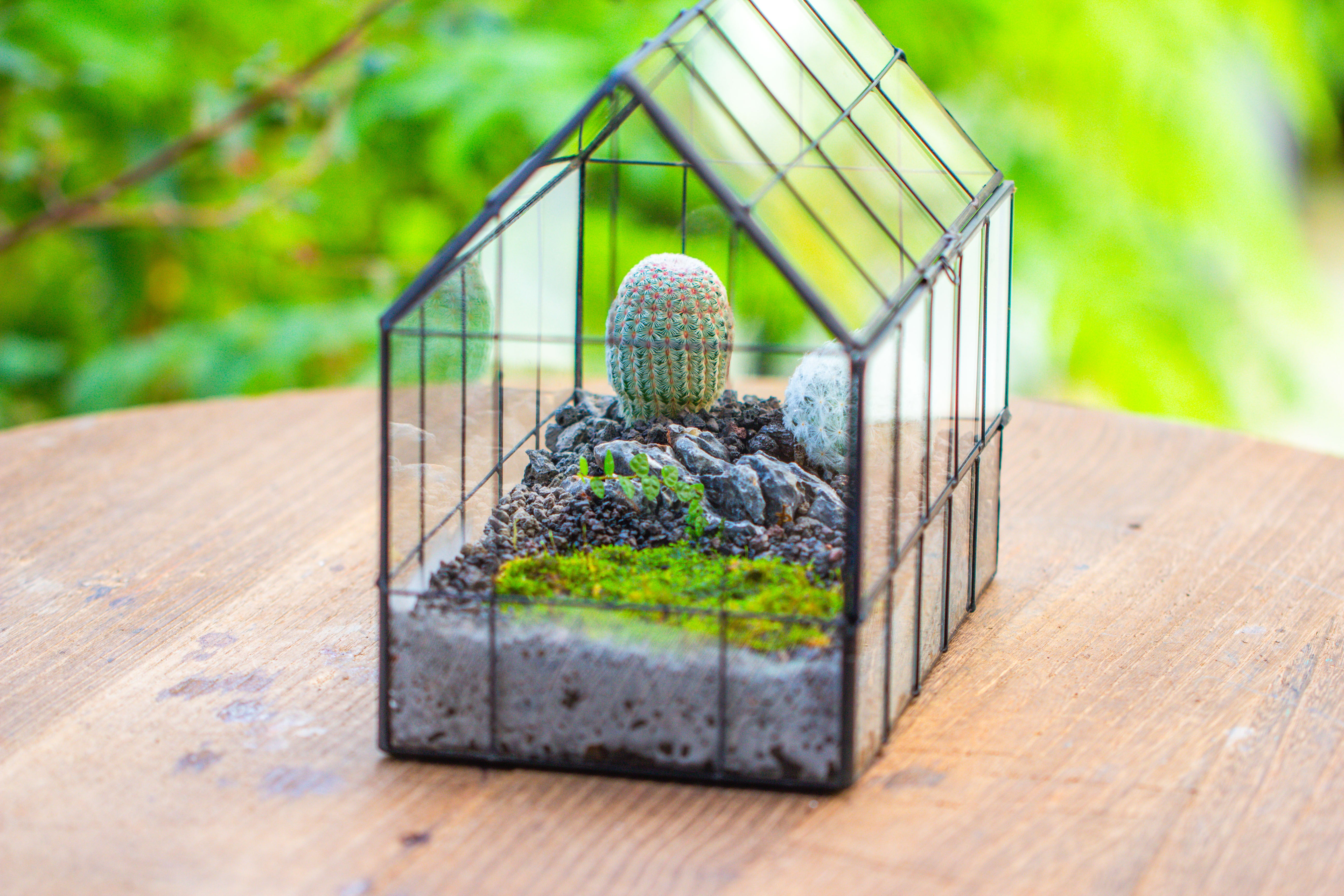 Vintge Greenhouse inspired tin and glass geometric Terrarium, side door, Close, for moss, fern, shade plants, micro landscape - NCYPgarden