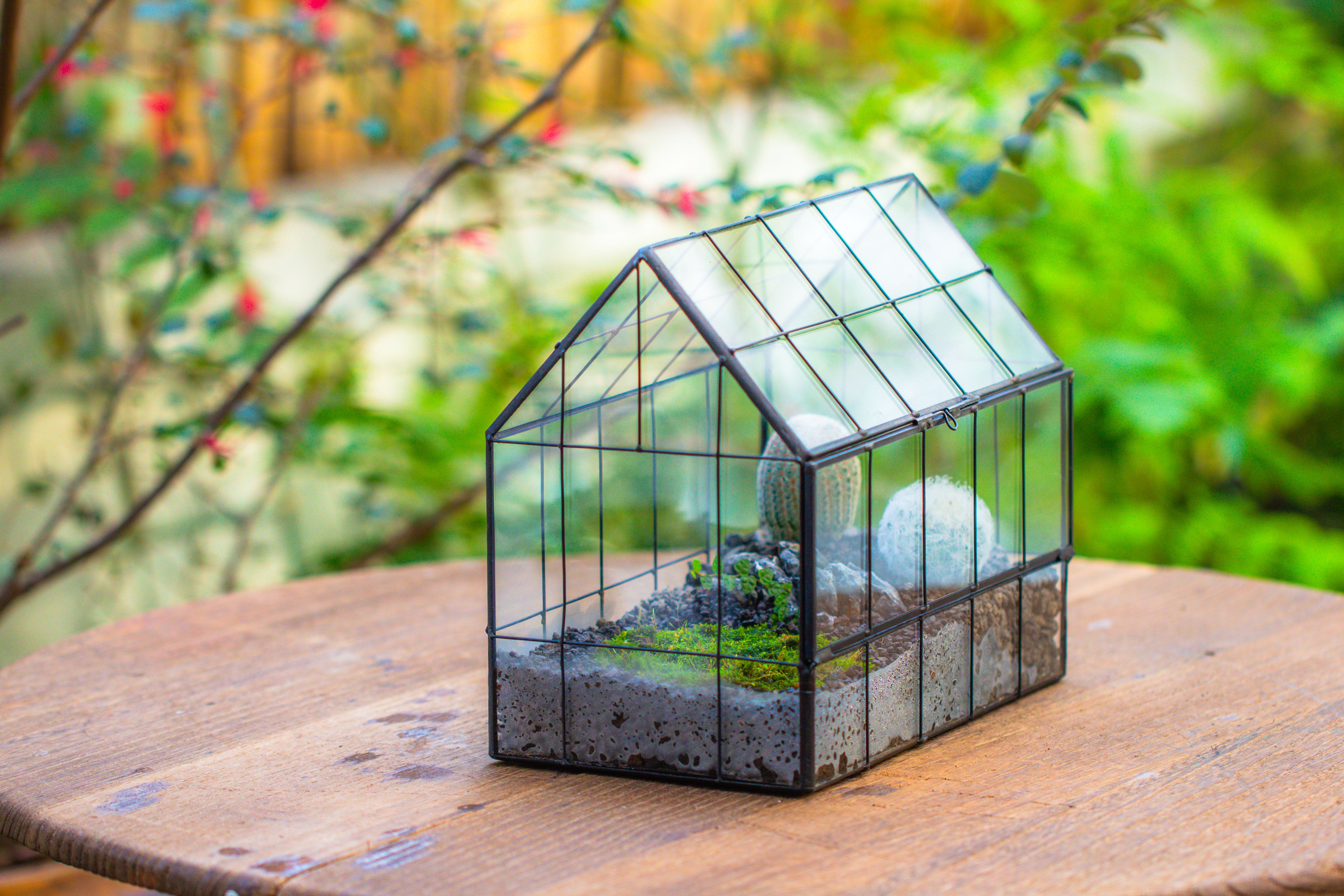 Vintge Greenhouse inspired tin and glass geometric Terrarium, side door, Close, for moss, fern, shade plants, micro landscape - NCYPgarden