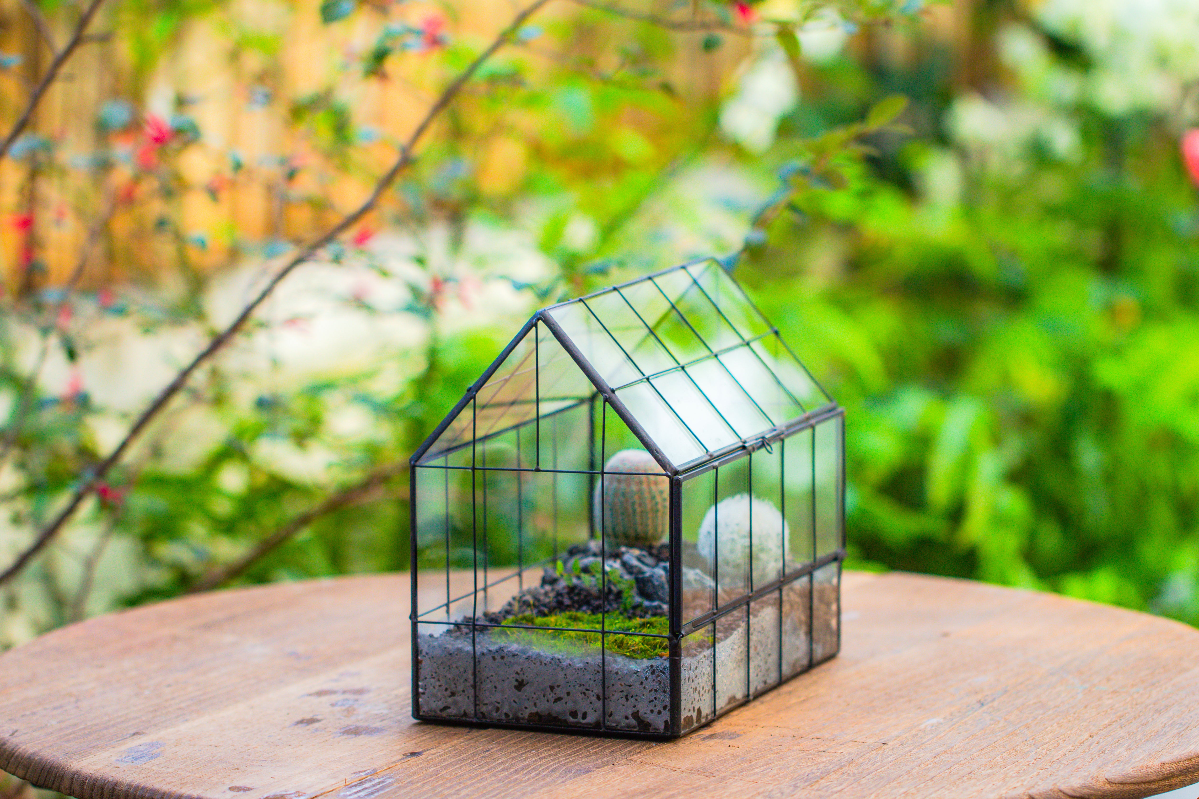Vintge Greenhouse inspired tin and glass geometric Terrarium, side door, Close, for moss, fern, shade plants, micro landscape - NCYPgarden