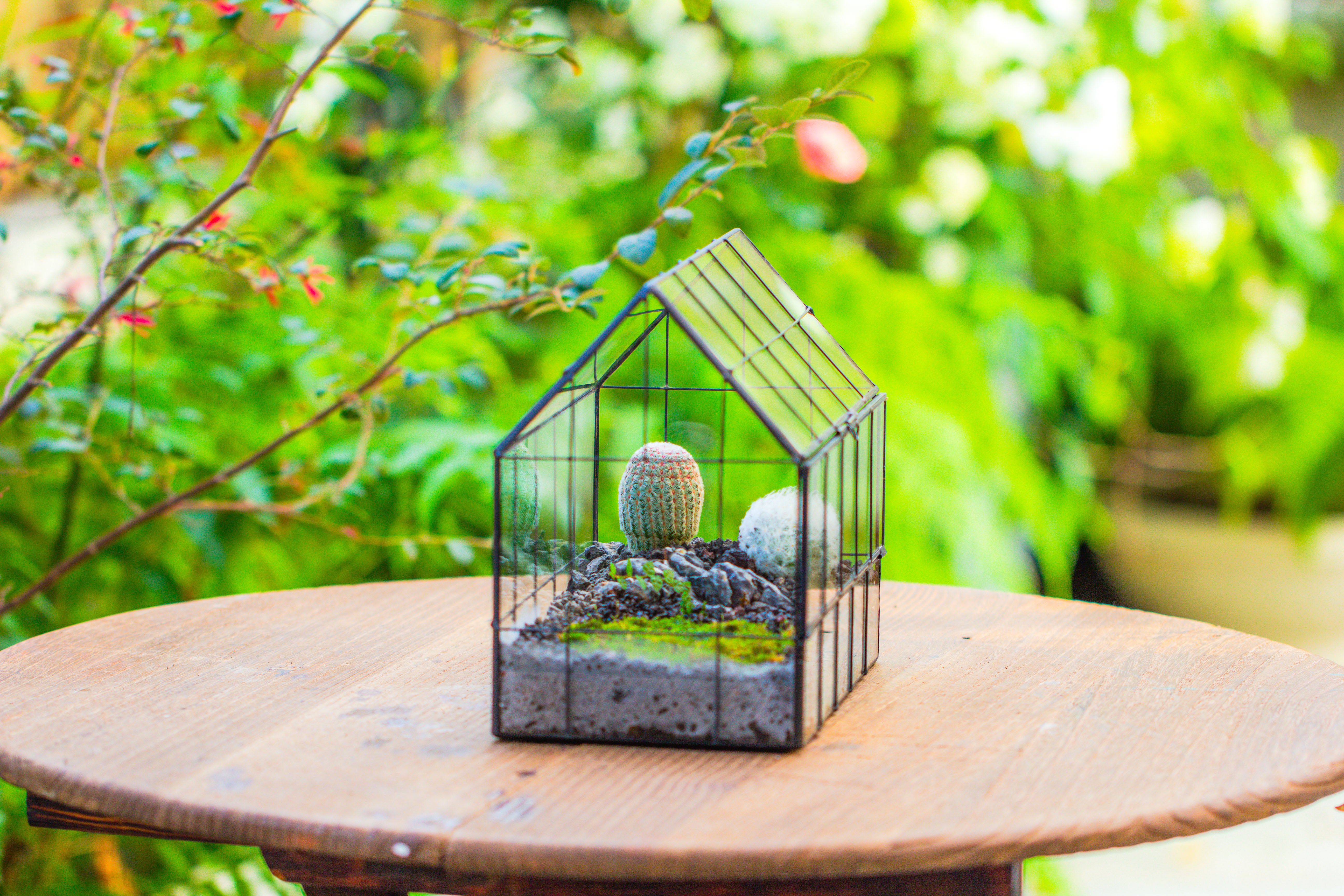 Vintge Greenhouse inspired tin and glass geometric Terrarium, side door, Close, for moss, fern, shade plants, micro landscape - NCYPgarden