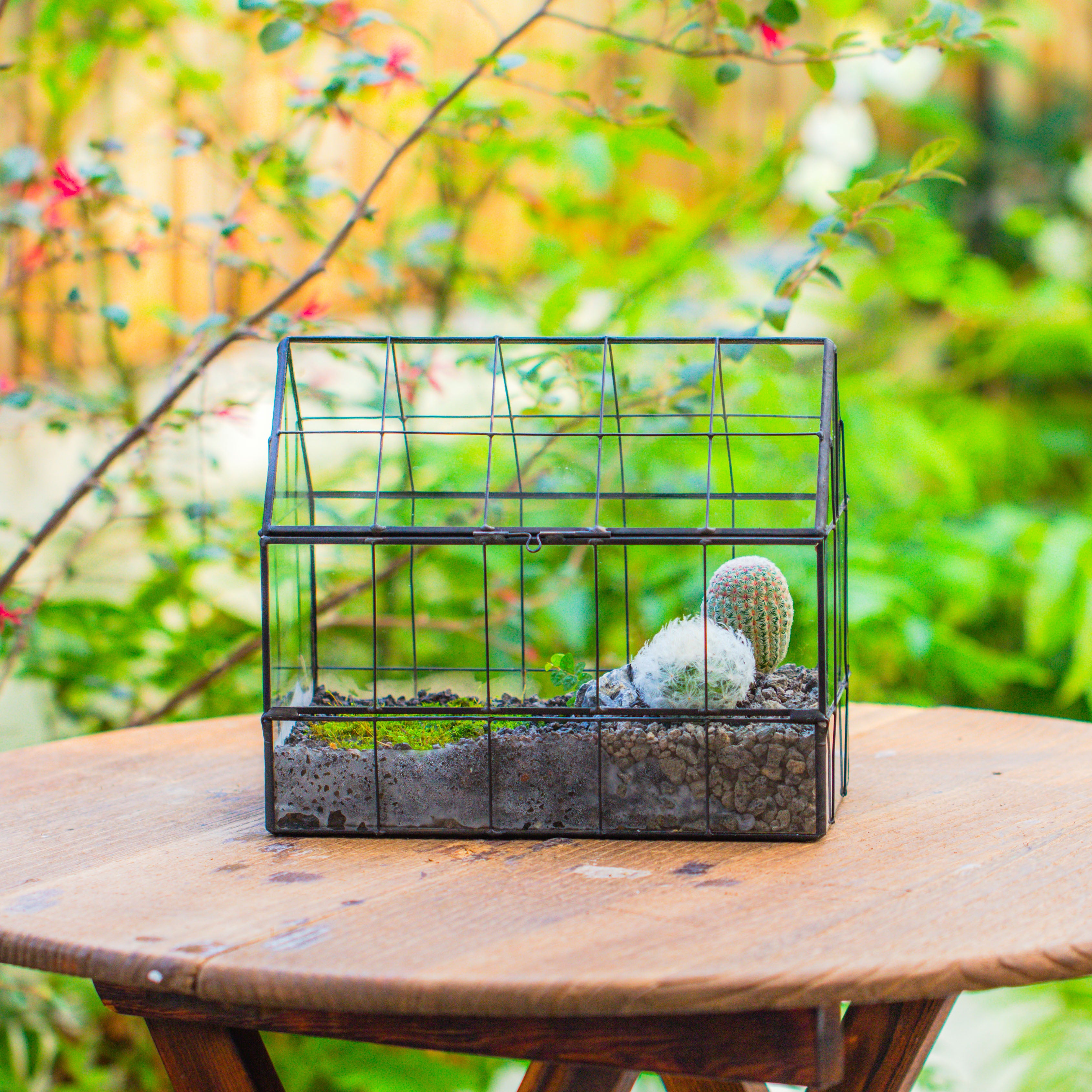 Vintge Greenhouse inspired tin and glass geometric Terrarium, side door, Close, for moss, fern, shade plants, micro landscape - NCYPgarden
