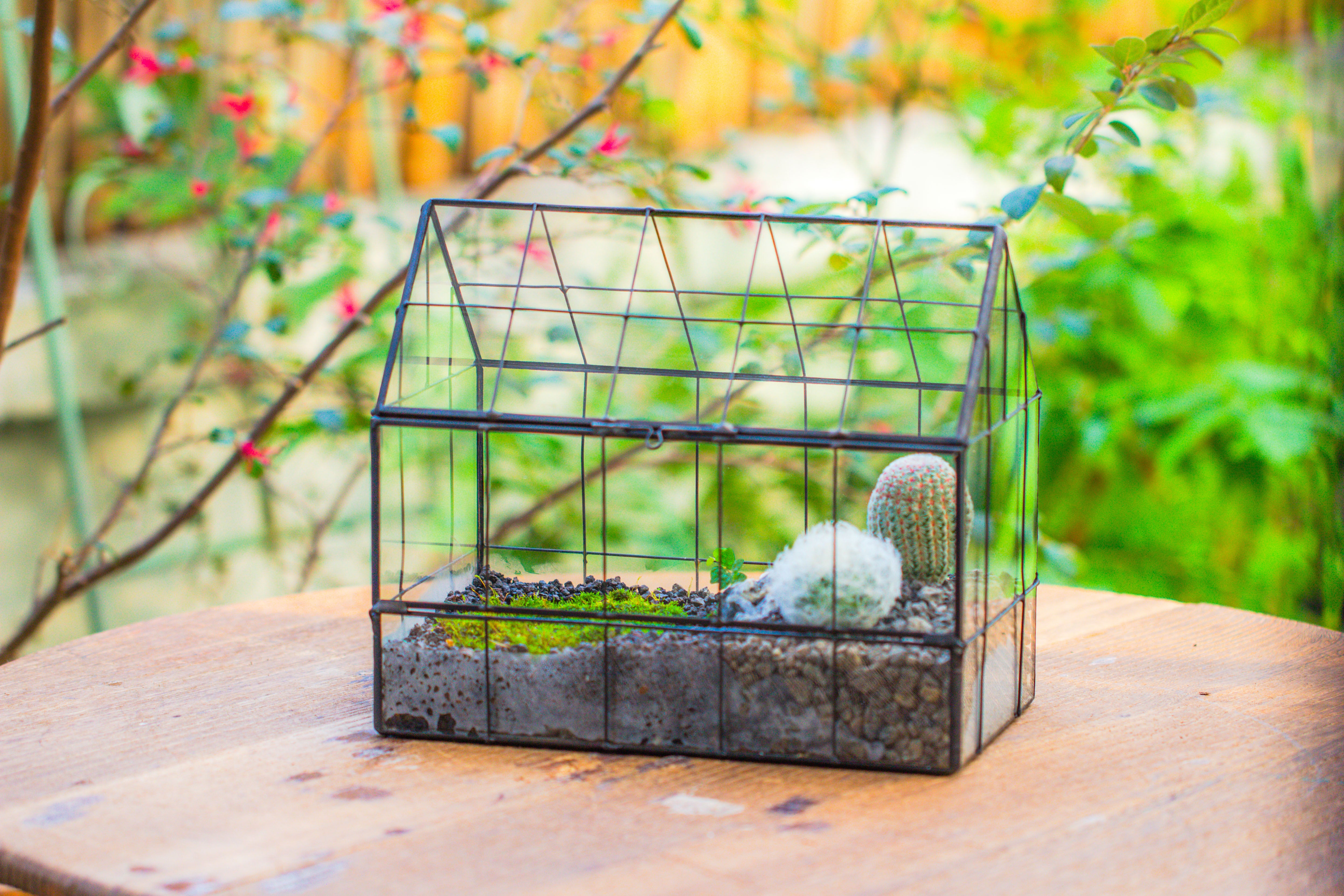 Vintge Greenhouse inspired tin and glass geometric Terrarium, side door, Close, for moss, fern, shade plants, micro landscape - NCYPgarden