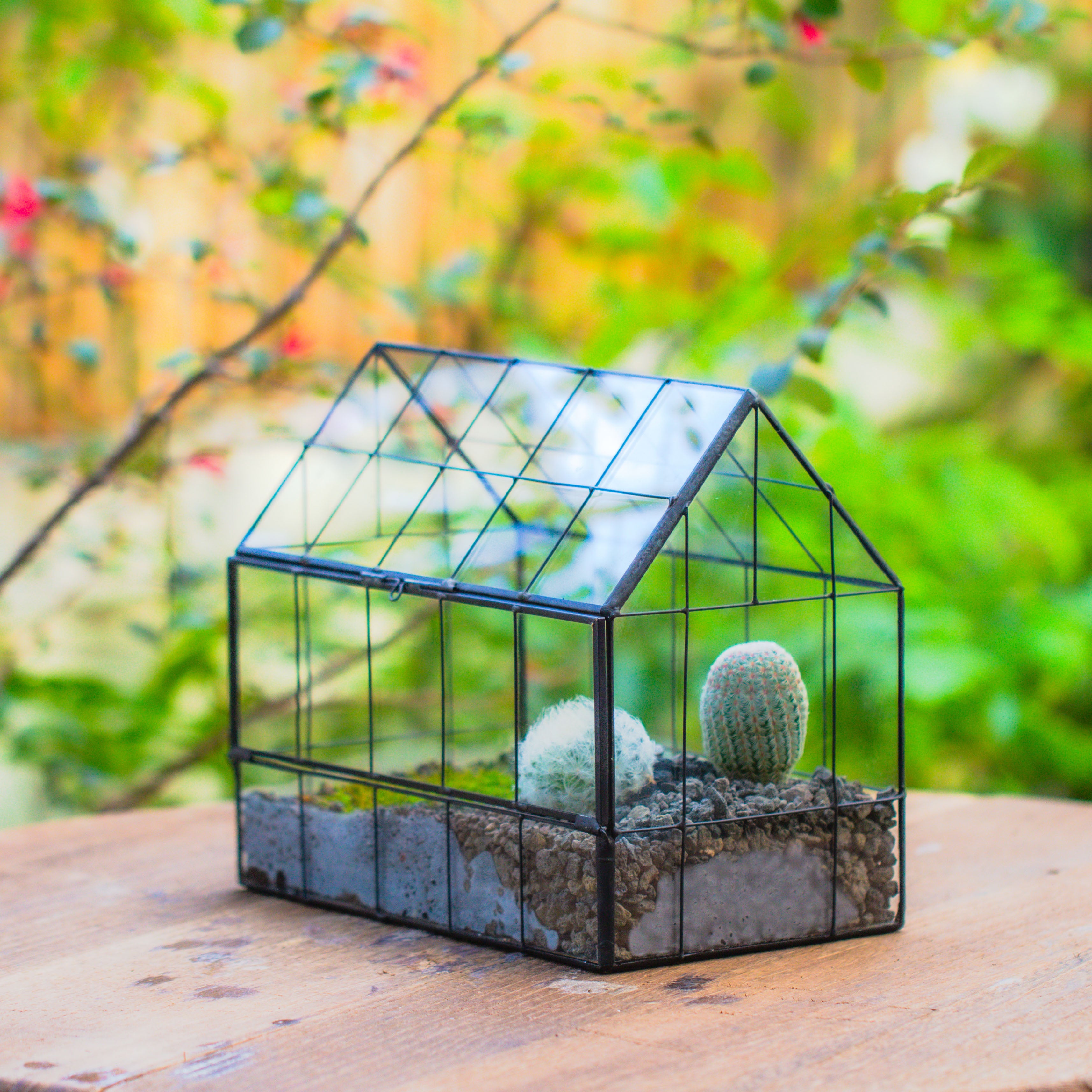 Vintge Greenhouse inspired tin and glass geometric Terrarium, side door, Close, for moss, fern, shade plants, micro landscape - NCYPgarden