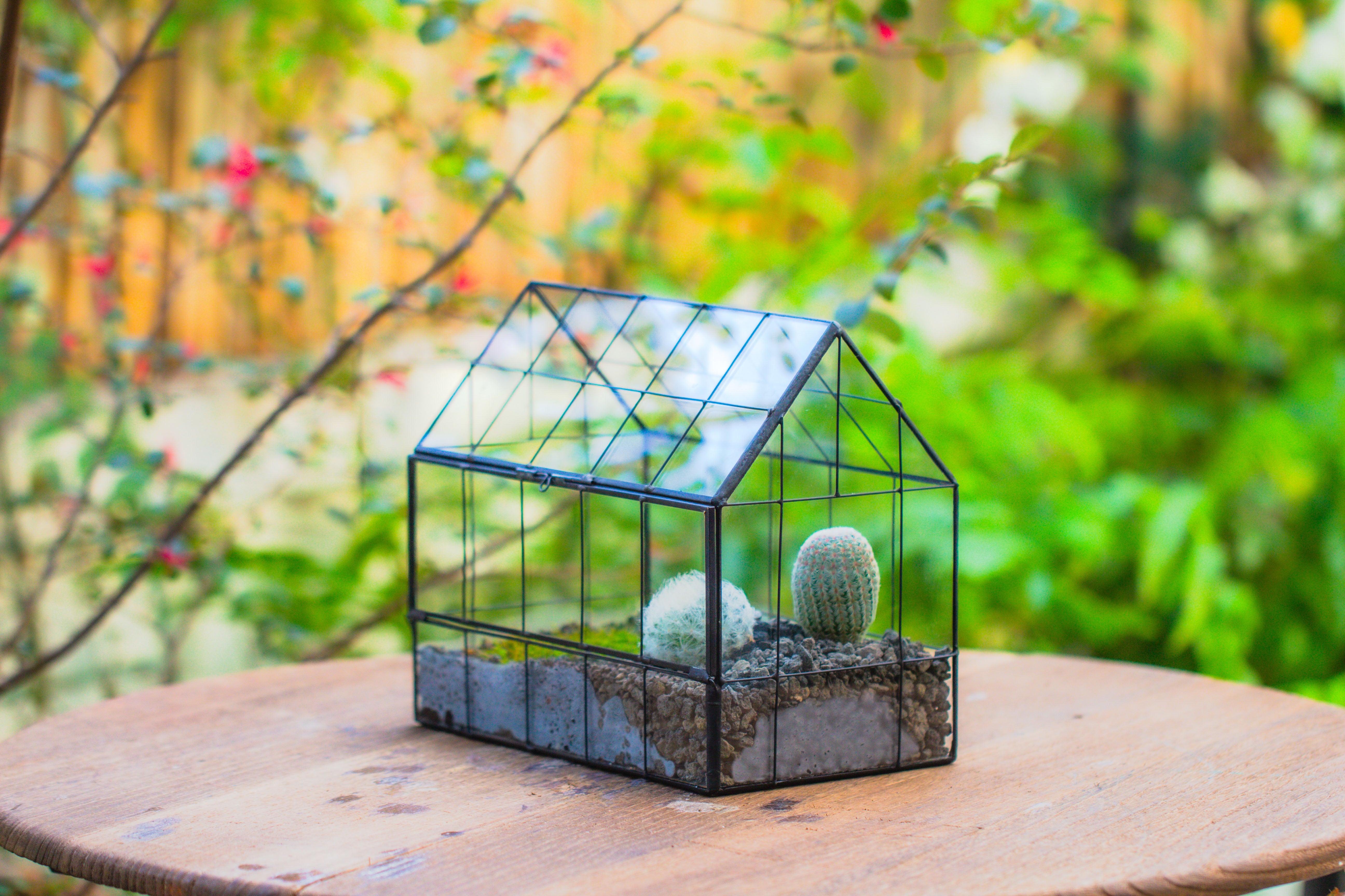 Vintge Greenhouse inspired tin and glass geometric Terrarium, side door, Close, for moss, fern, shade plants, micro landscape - NCYPgarden