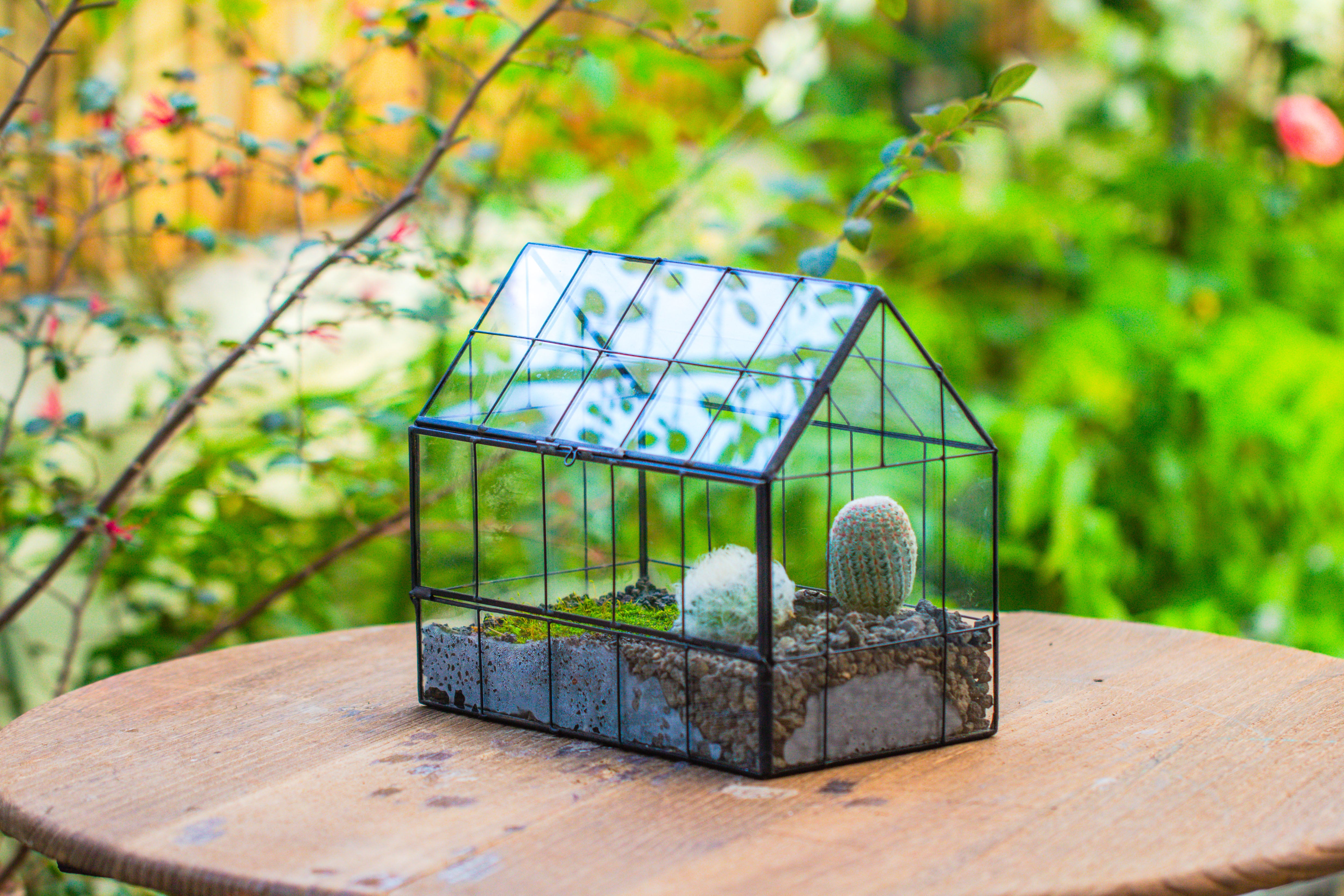 Vintge Greenhouse inspired tin and glass geometric Terrarium, side door, Close, for moss, fern, shade plants, micro landscape - NCYPgarden