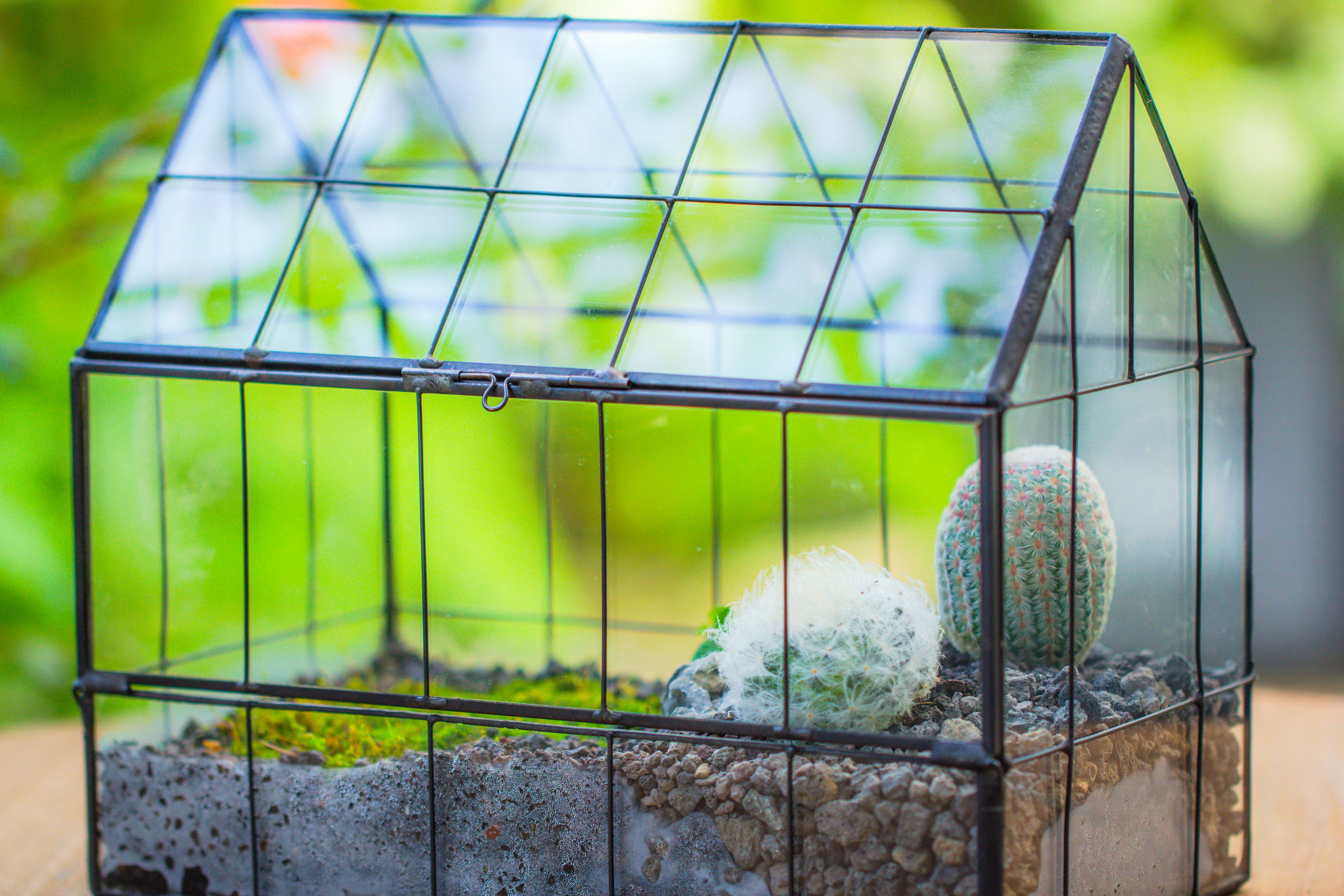 Vintge Greenhouse inspired tin and glass geometric Terrarium, side door, Close, for moss, fern, shade plants, micro landscape - NCYPgarden