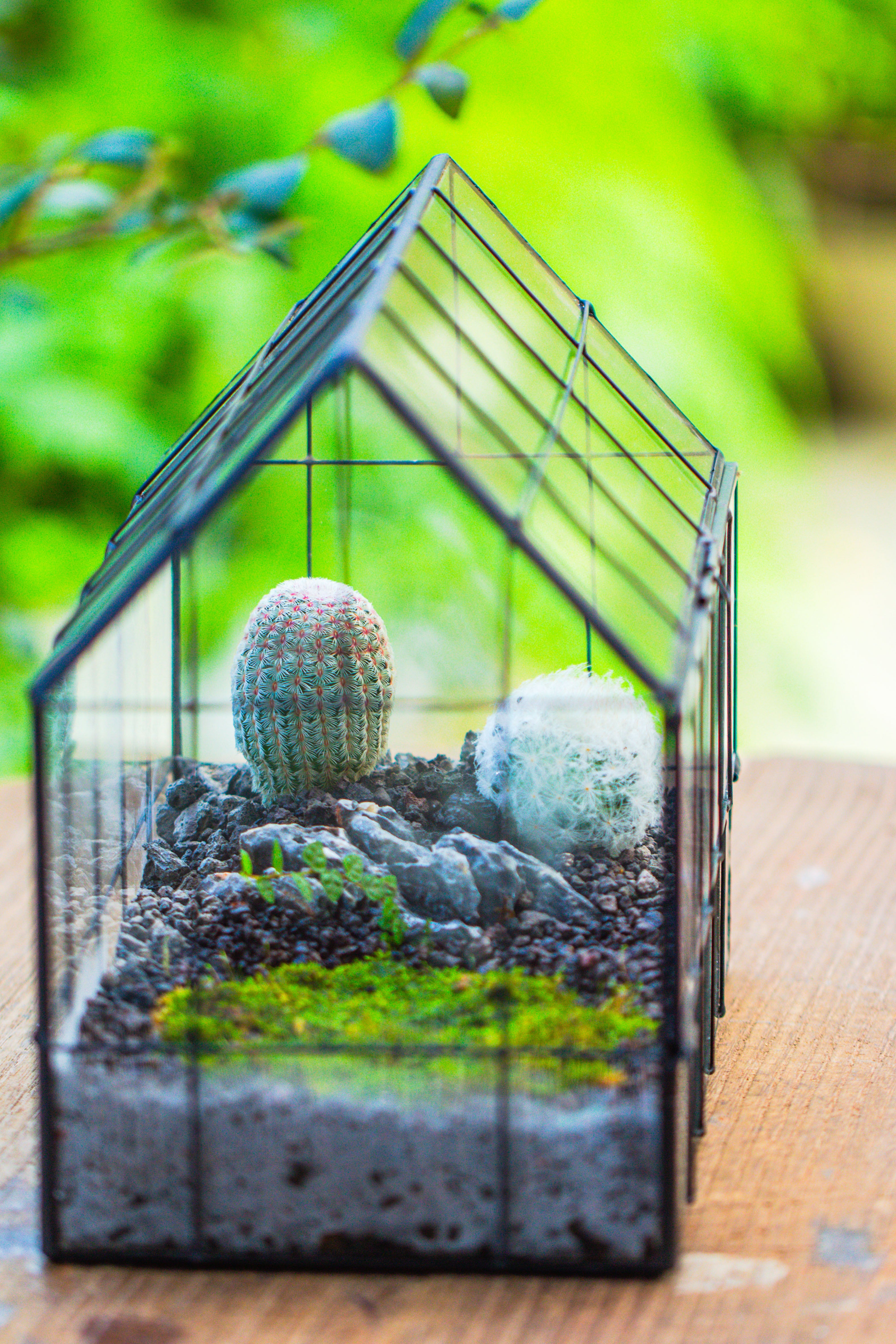 Vintge Greenhouse inspired tin and glass geometric Terrarium, side door, Close, for moss, fern, shade plants, micro landscape - NCYPgarden