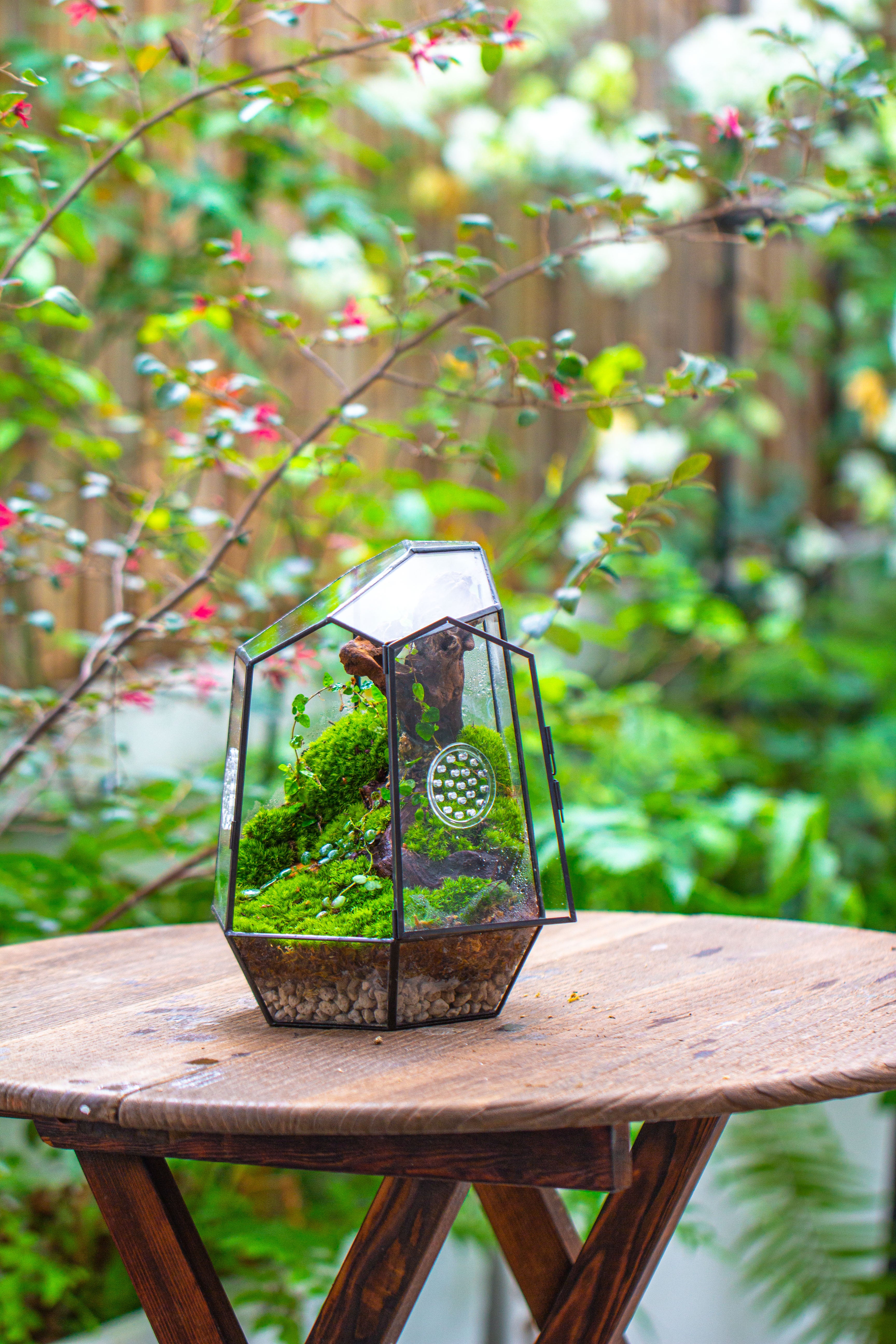 NCYP Close Geometric Tin Glass Terrarium with Door, Vent, Insect Bug Terrarium - NCYPgarden