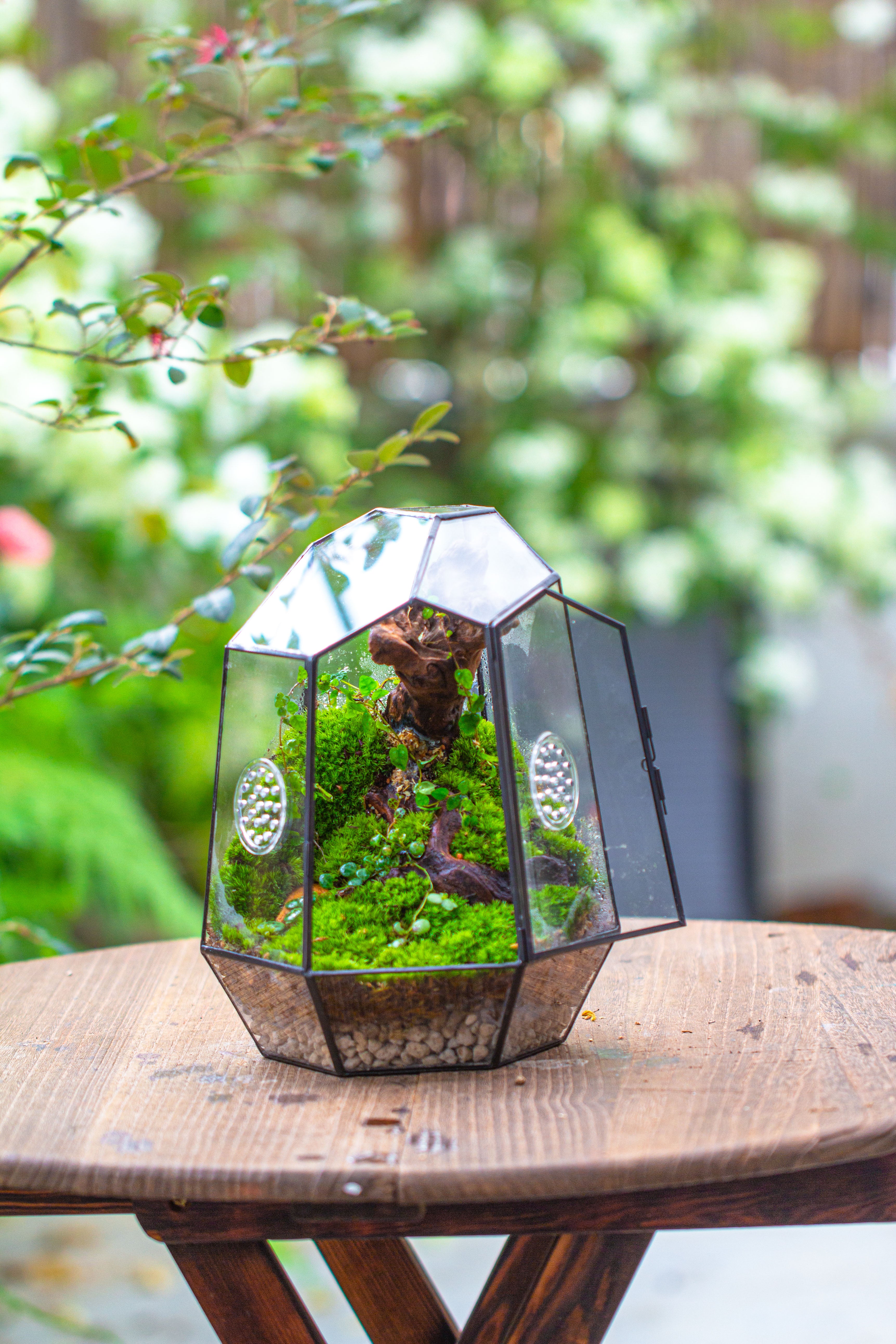 NCYP Close Geometric Tin Glass Terrarium with Door, Vent, Insect Bug Terrarium - NCYPgarden