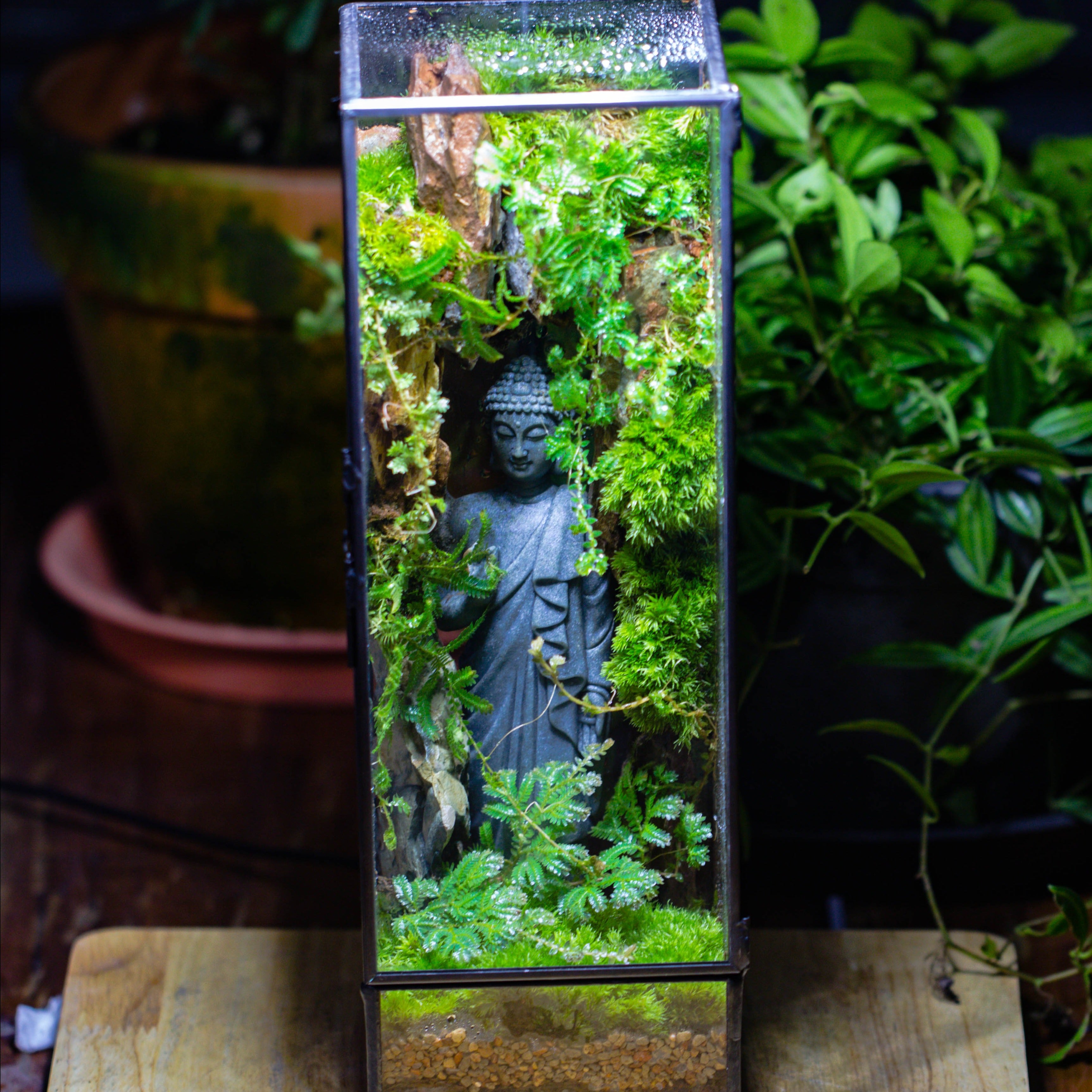 NCYP Close 11.8" Tall Geometric Glass Terrarium with Door DIY set, with Buddha, Dragon rocks, Planting Materials - NCYPgarden