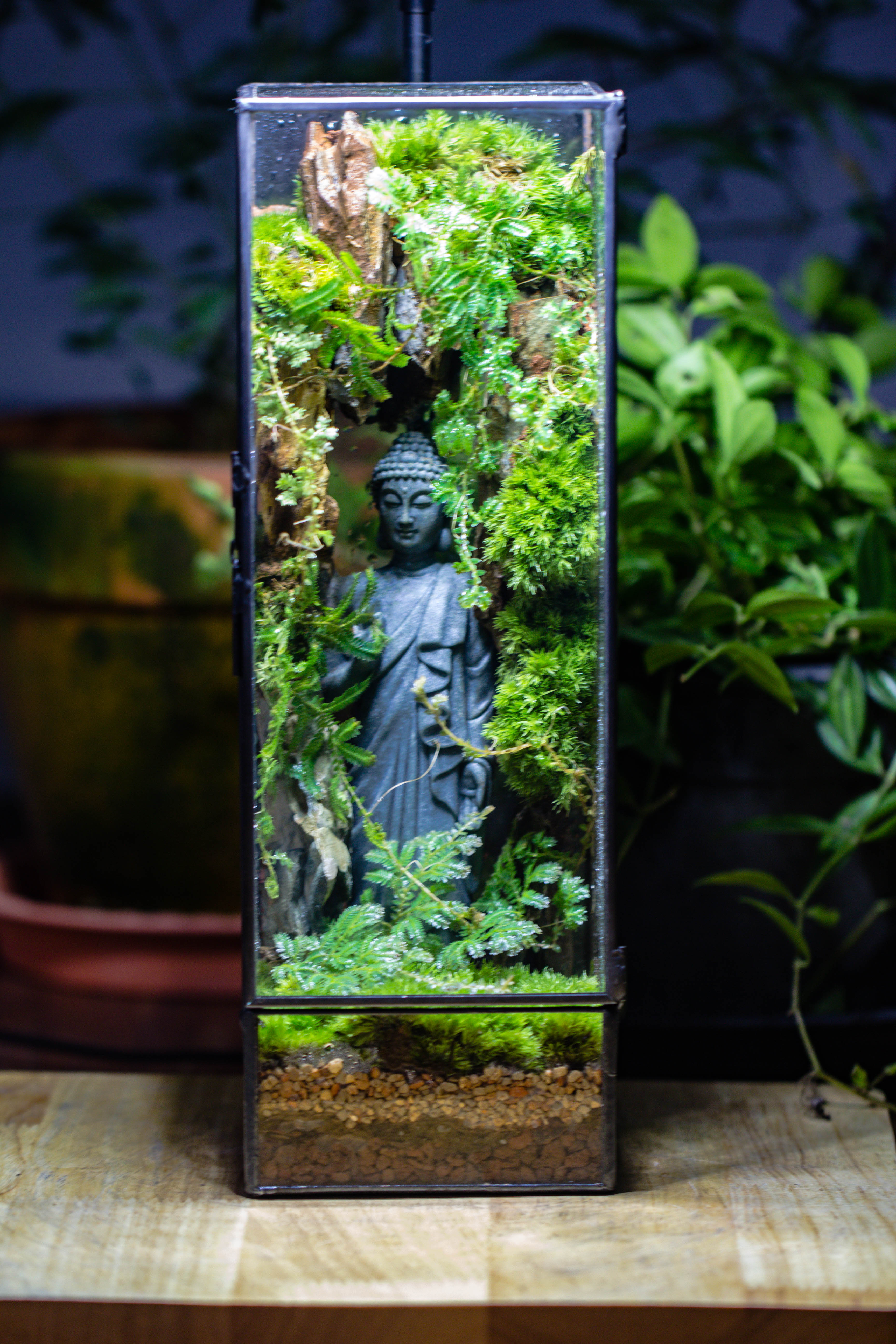NCYP Close 11.8" Tall Geometric Glass Terrarium with Door DIY set, with Buddha, Dragon rocks, Planting Materials - NCYPgarden