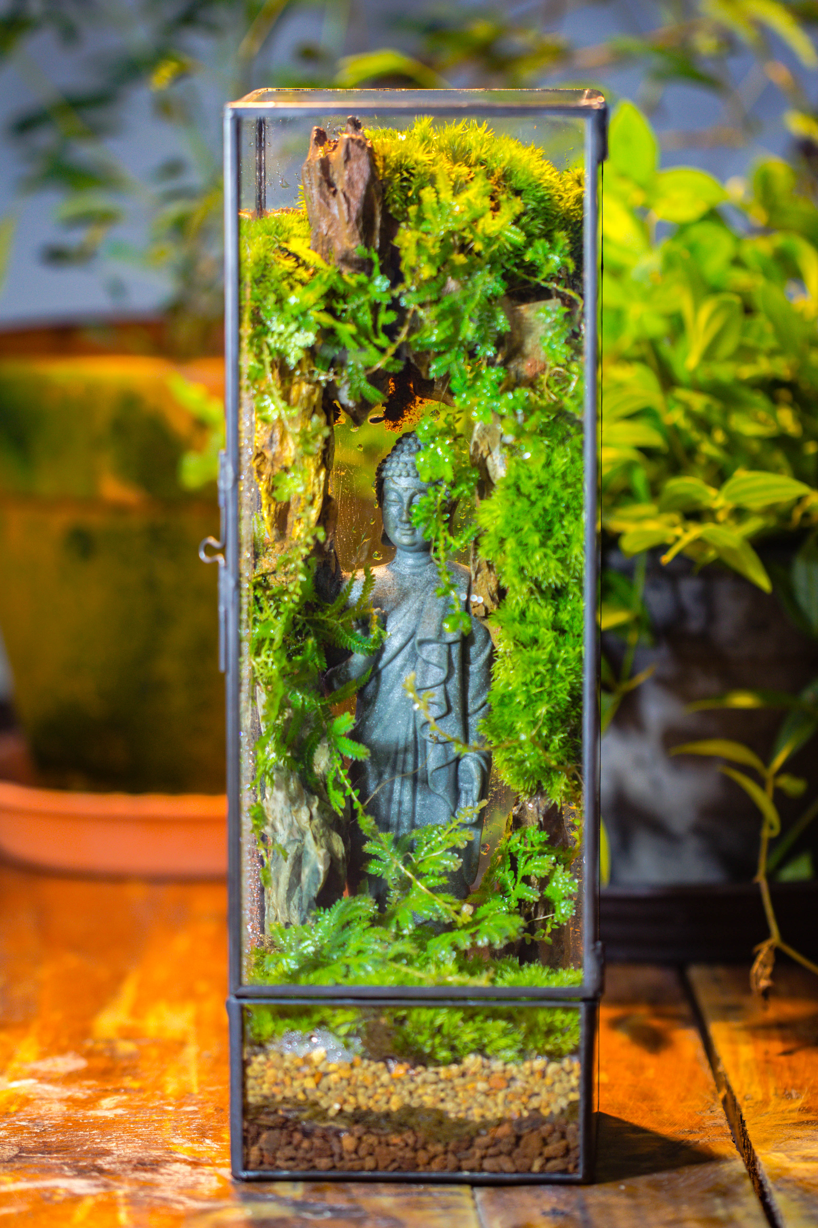 NCYP Close 11.8" Tall Geometric Glass Terrarium with Door DIY set, with Buddha, Dragon rocks, Planting Materials - NCYPgarden