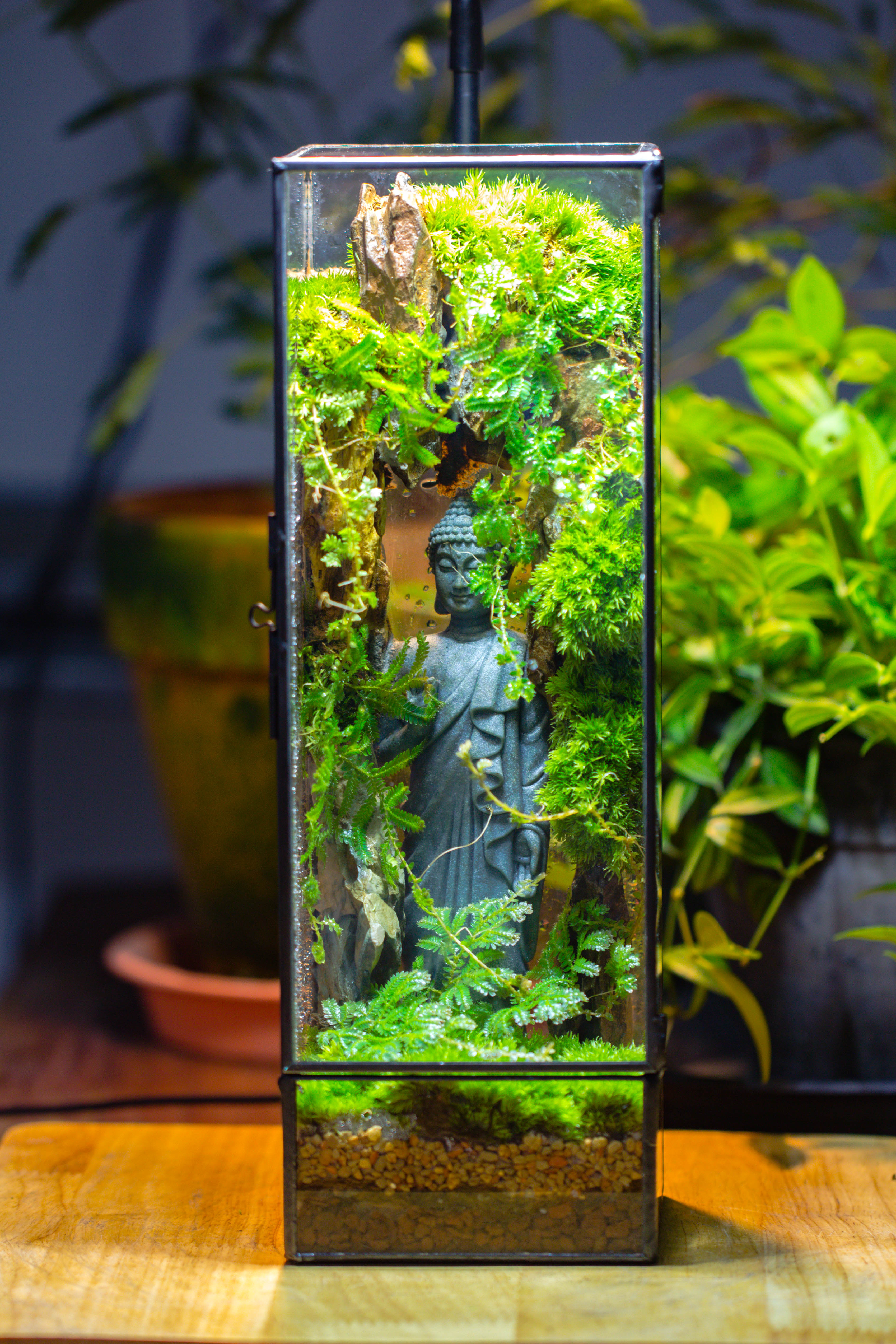 NCYP Close 11.8" Tall Geometric Glass Terrarium with Door DIY set, with Buddha, Dragon rocks, Planting Materials - NCYPgarden