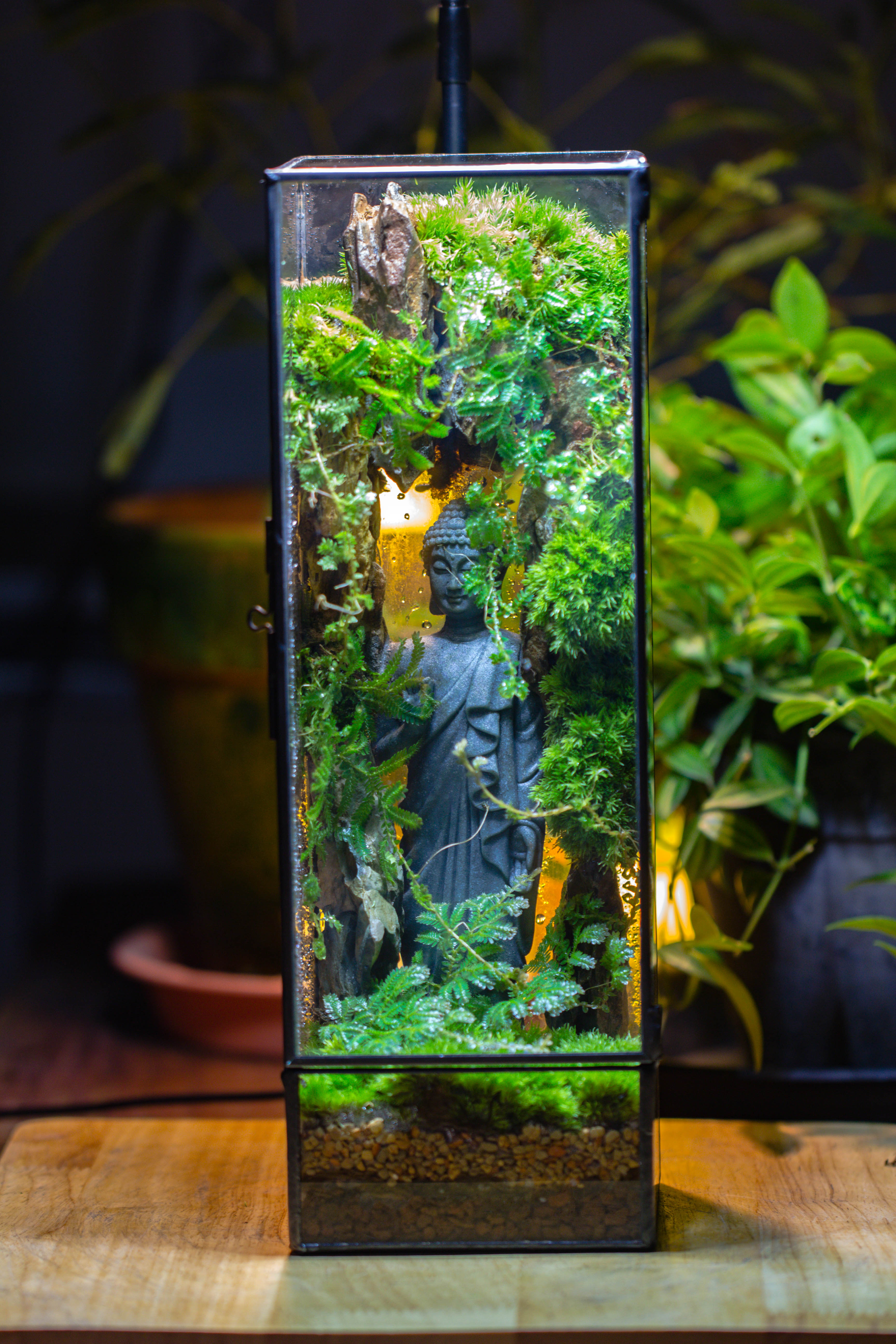 NCYP Close 11.8" Tall Geometric Glass Terrarium with Door DIY set, with Buddha, Dragon rocks, Planting Materials - NCYPgarden