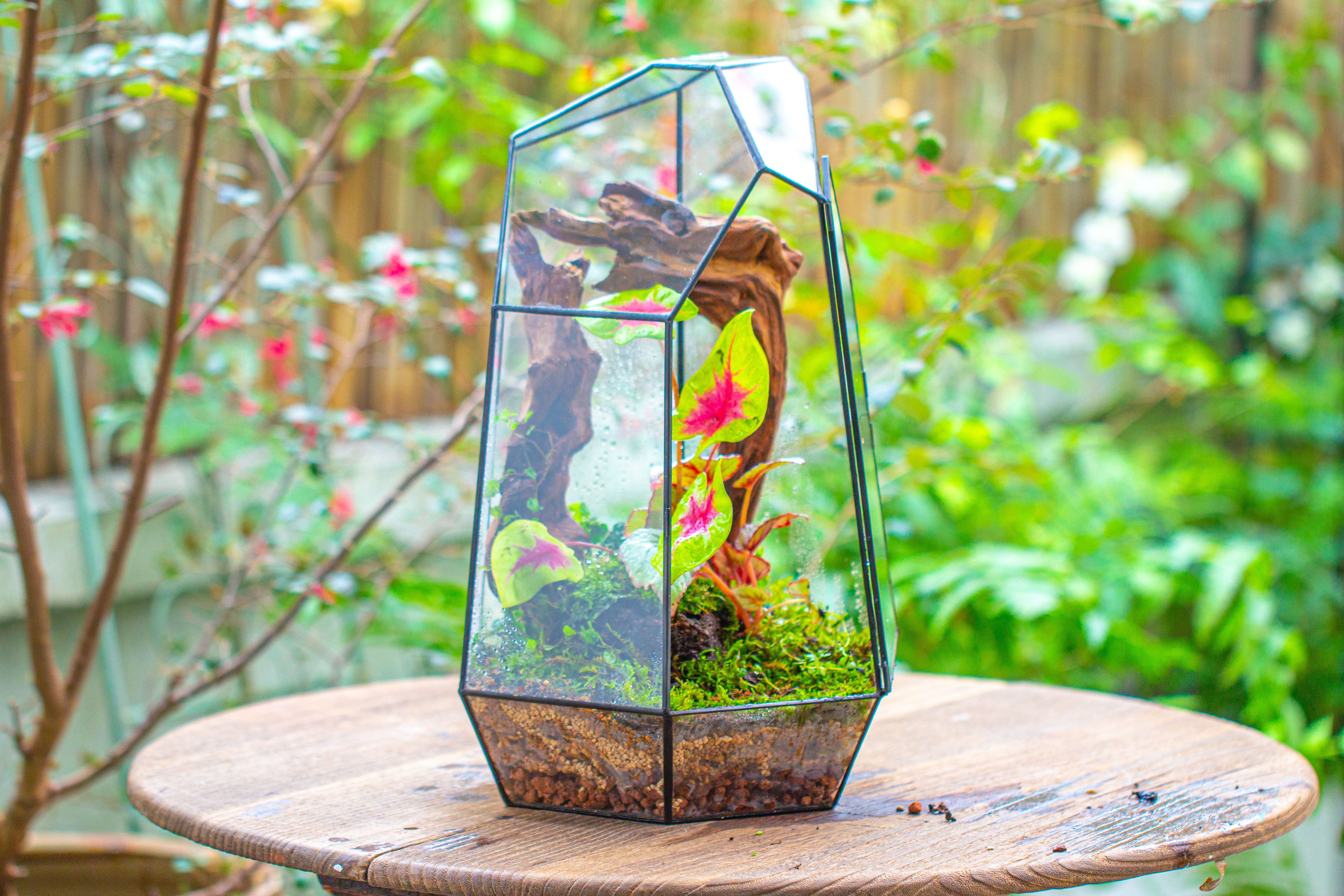 16.1" Large Irregular Geometric Glass Terrarium, Close, Tin soldered, for moss, tropical plants, micro landscape - NCYPgarden