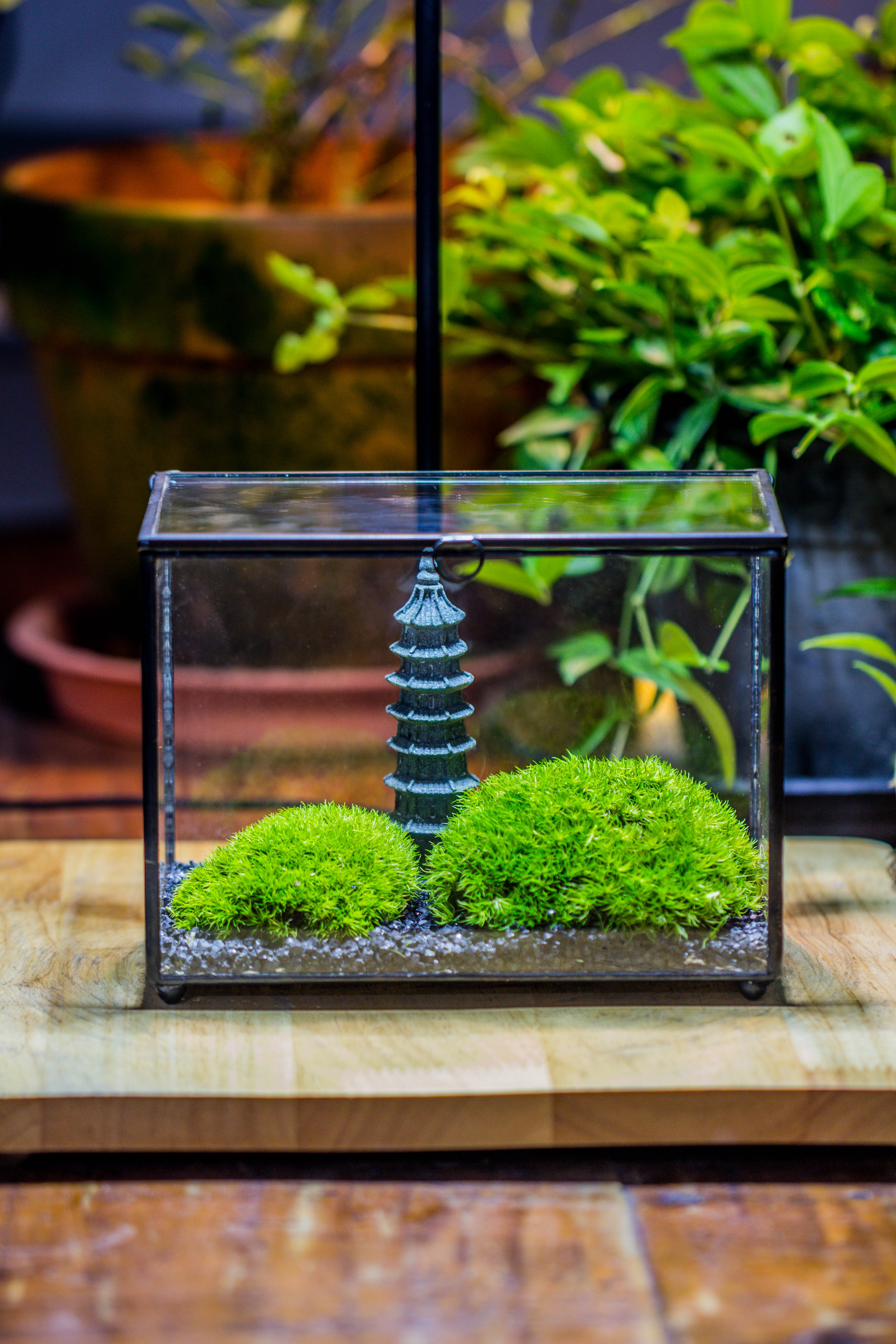 Preserved moss terrarium Miniature DIY set, Japanese Zen Style, Preserved Leucobryum moss and pagoda, 17*10*12cm / 6.7 x 3.9 x 4.7" - NCYPgarden