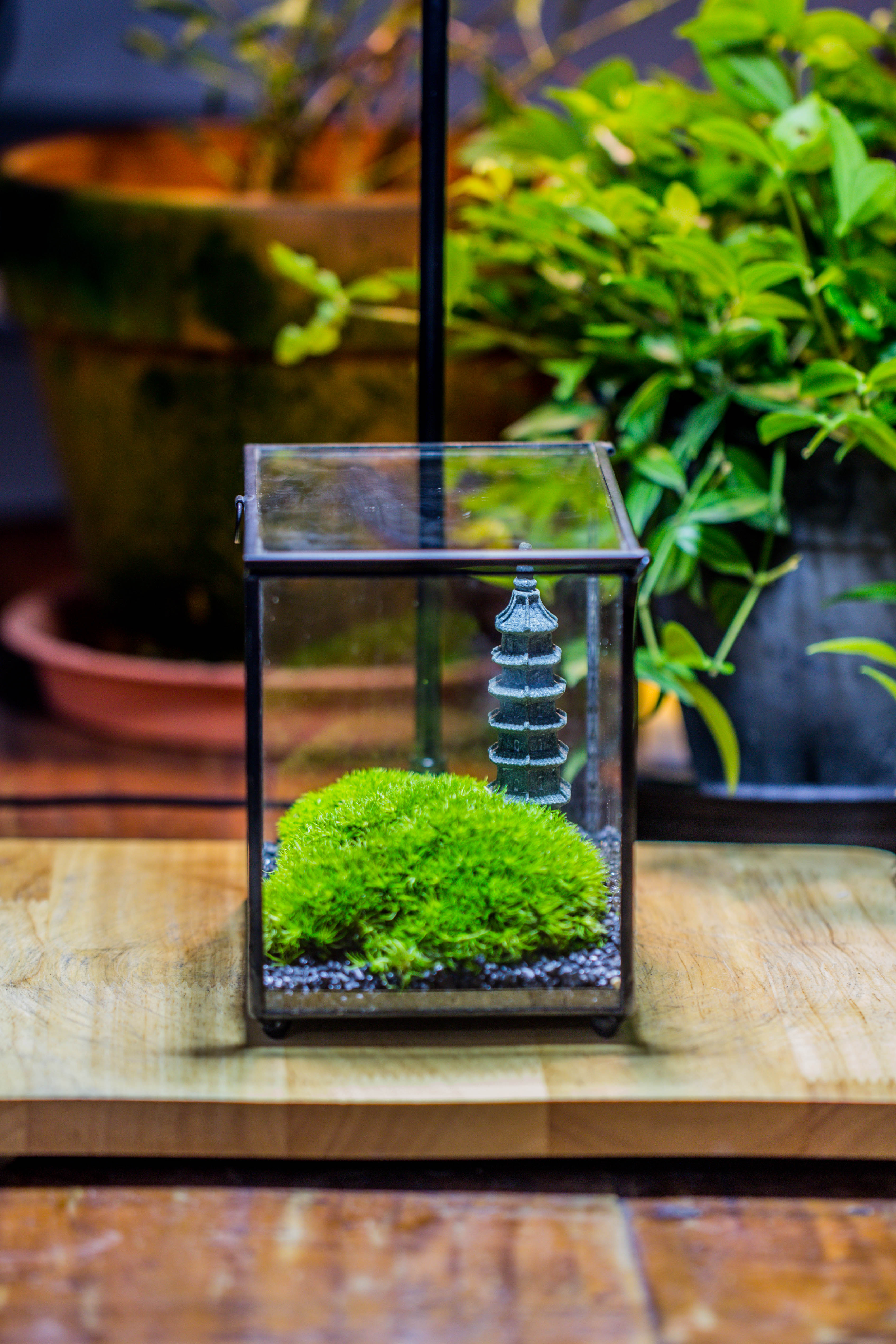 Preserved moss terrarium Miniature DIY set, Japanese Zen Style, Preserved Leucobryum moss and pagoda, 17*10*12cm / 6.7 x 3.9 x 4.7" - NCYPgarden