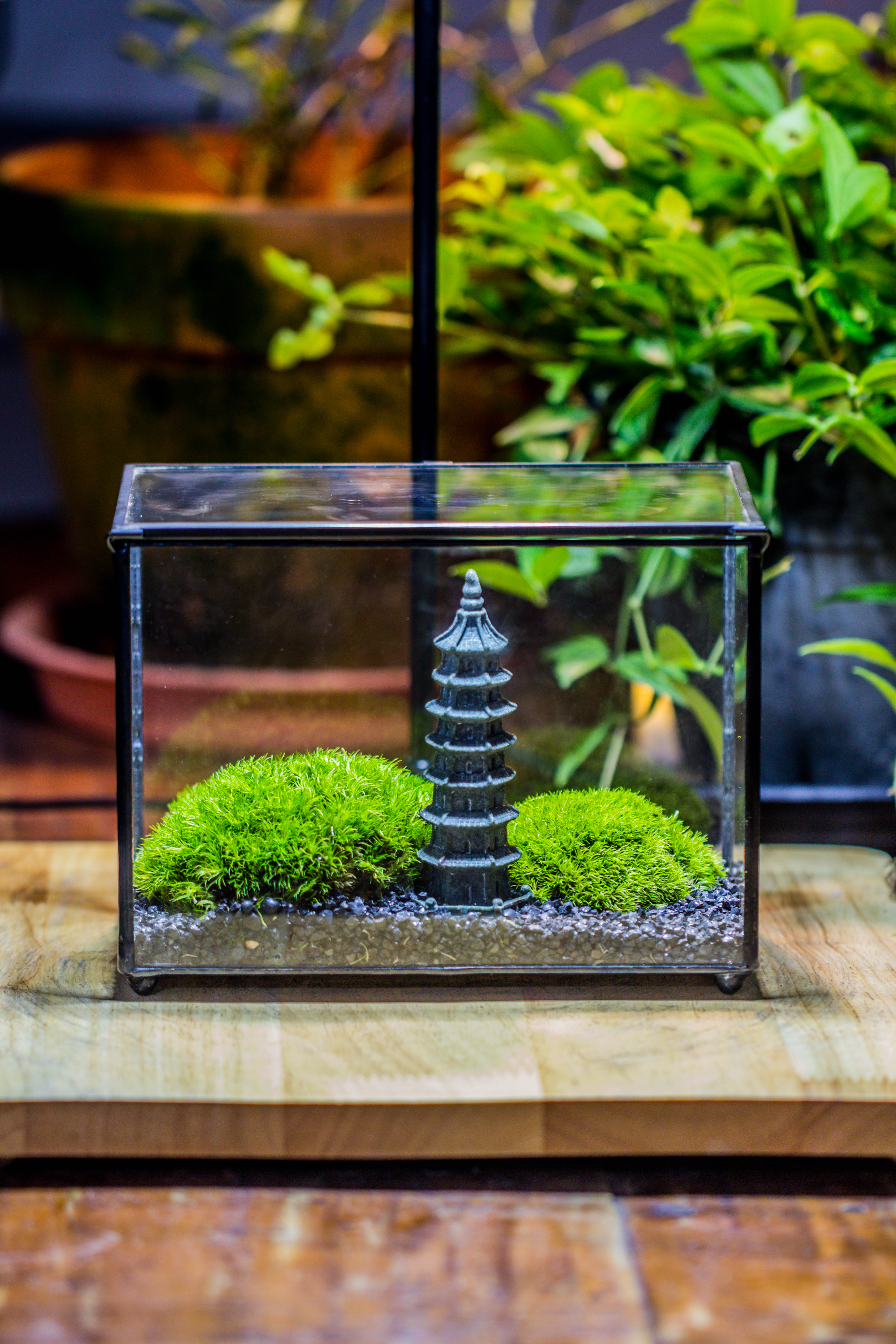 Preserved moss terrarium Miniature DIY set, Japanese Zen Style, Preserved Leucobryum moss and pagoda, 17*10*12cm / 6.7 x 3.9 x 4.7" - NCYPgarden