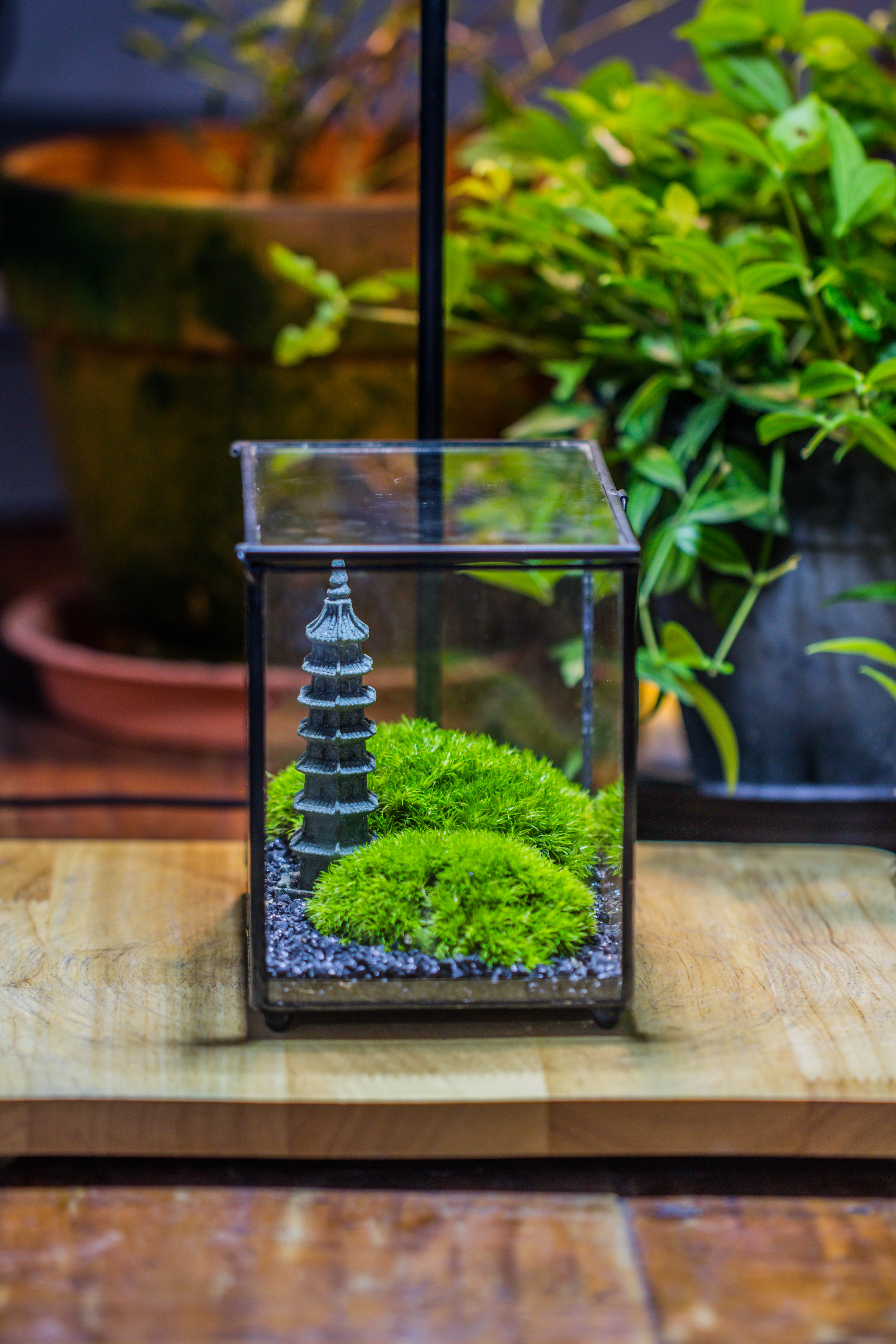 Preserved moss terrarium Miniature DIY set, Japanese Zen Style, Preserved Leucobryum moss and pagoda, 17*10*12cm / 6.7 x 3.9 x 4.7" - NCYPgarden