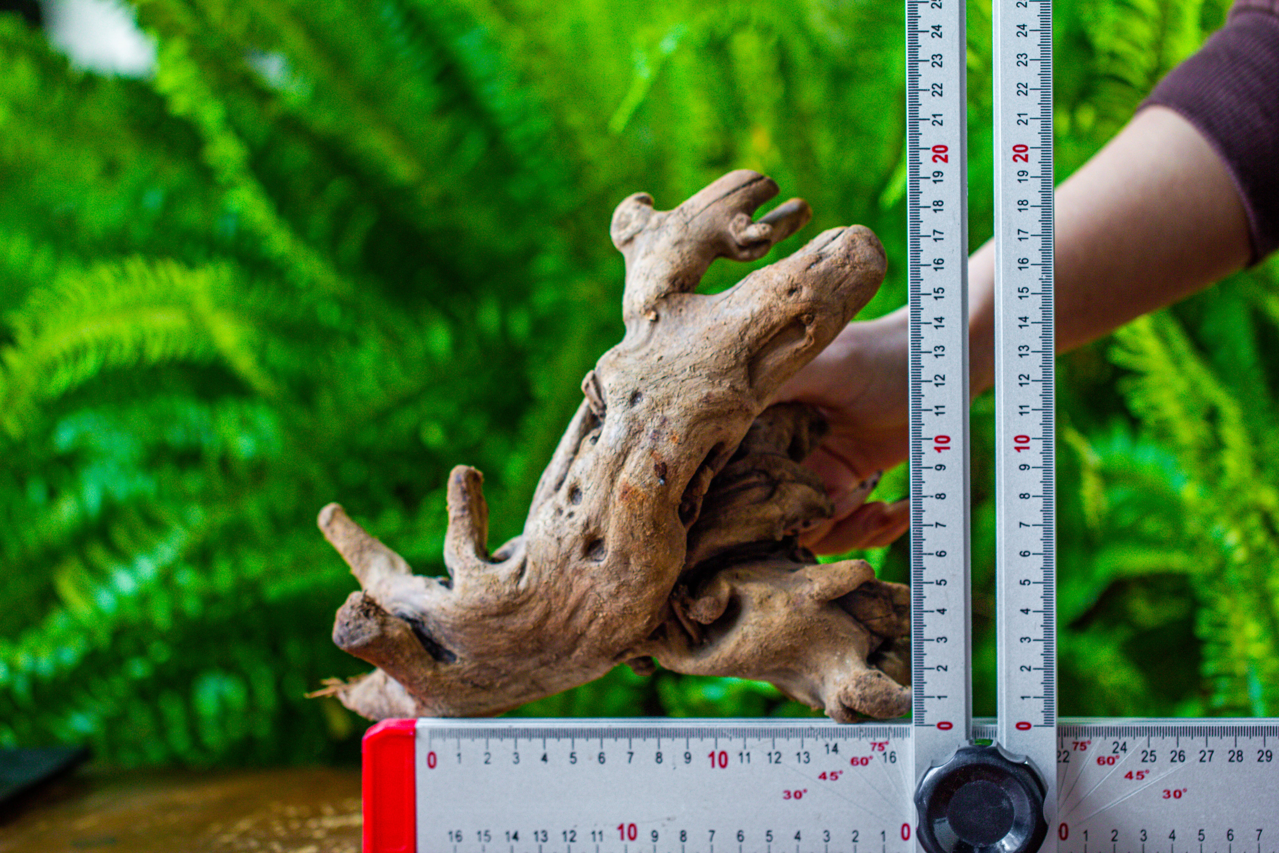 driftwood for moss terrarium, miniature, micro landscape, H022 - NCYPgarden