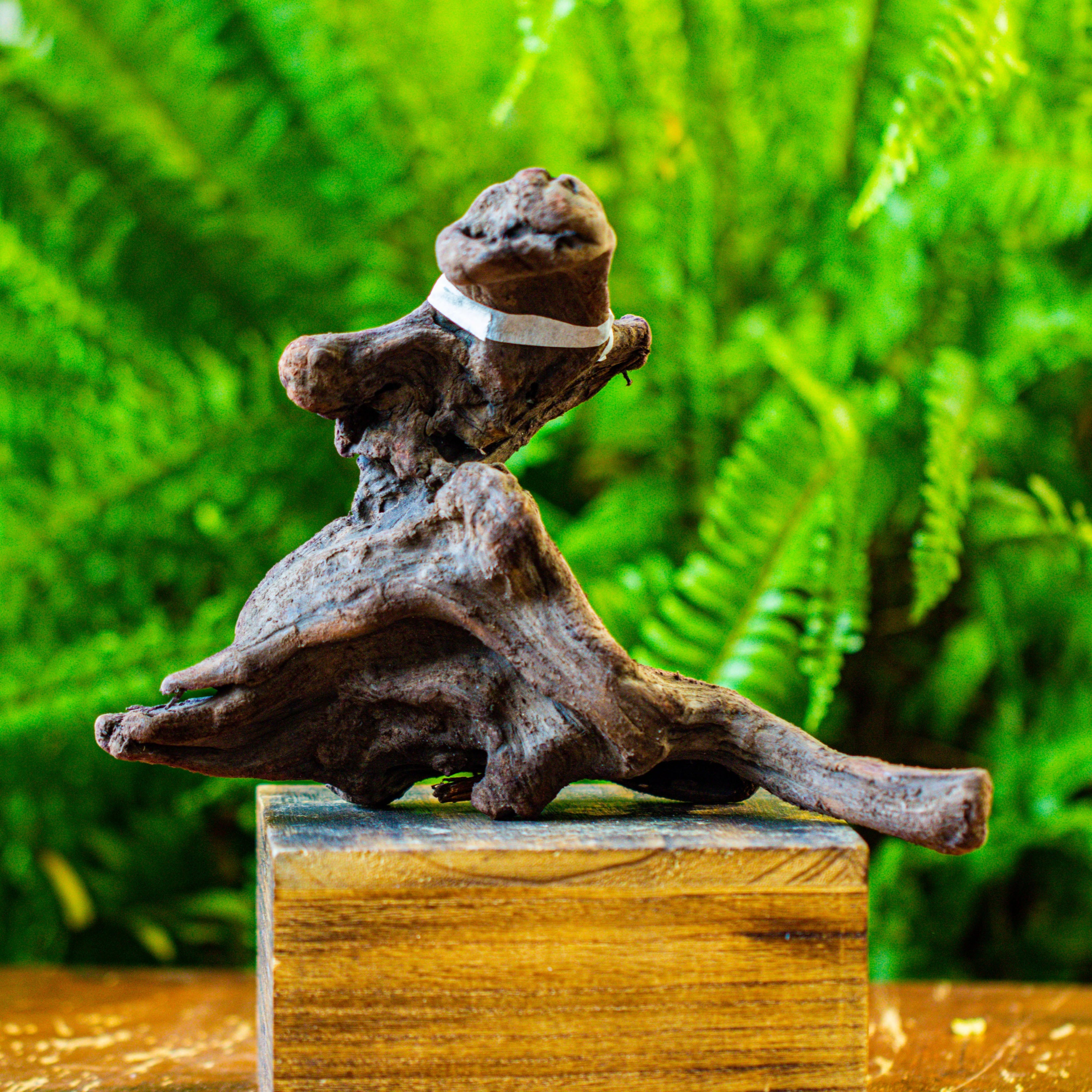 driftwood for moss terrarium, miniature, micro landscape, H019 - NCYPgarden