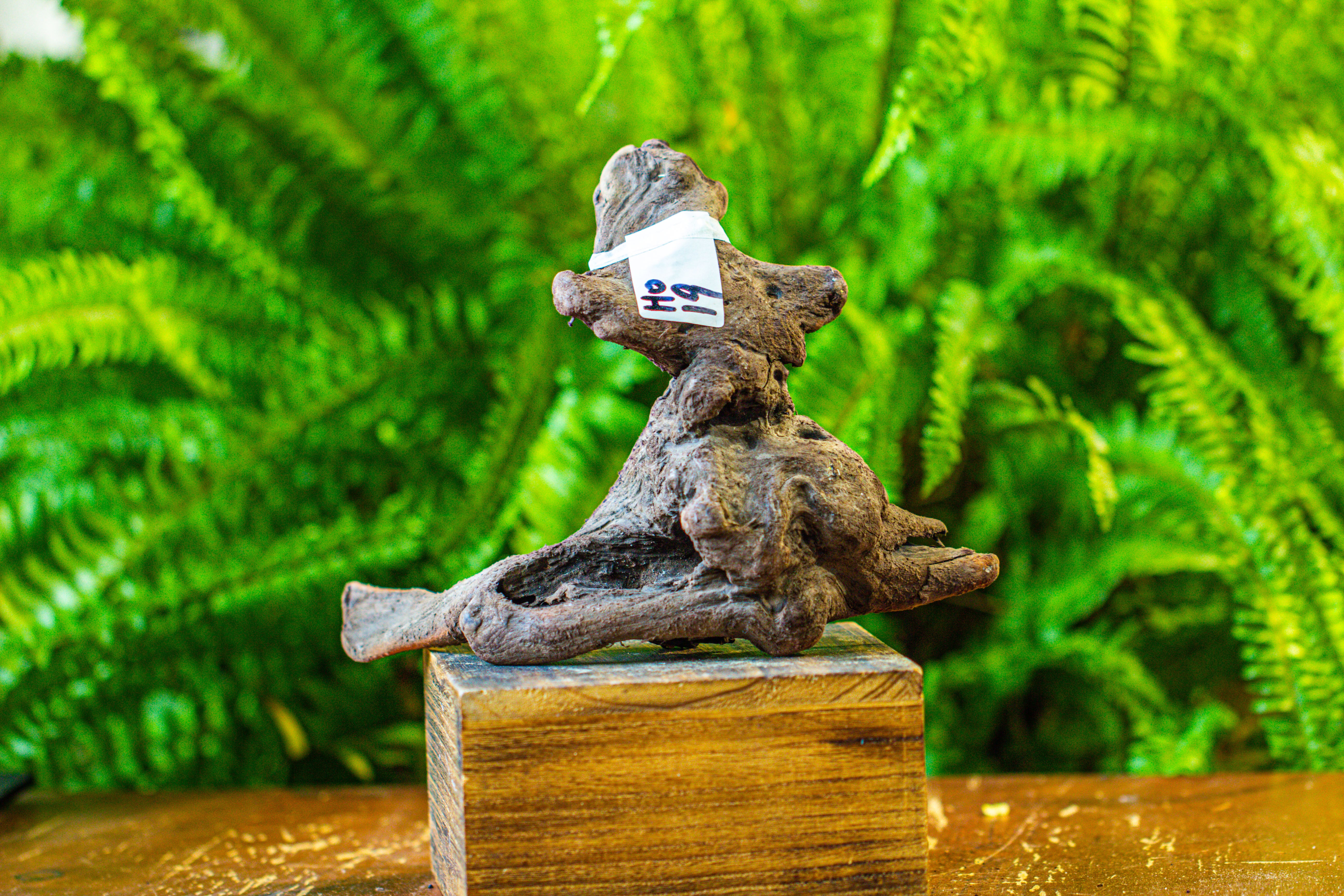 driftwood for moss terrarium, miniature, micro landscape, H019 - NCYPgarden