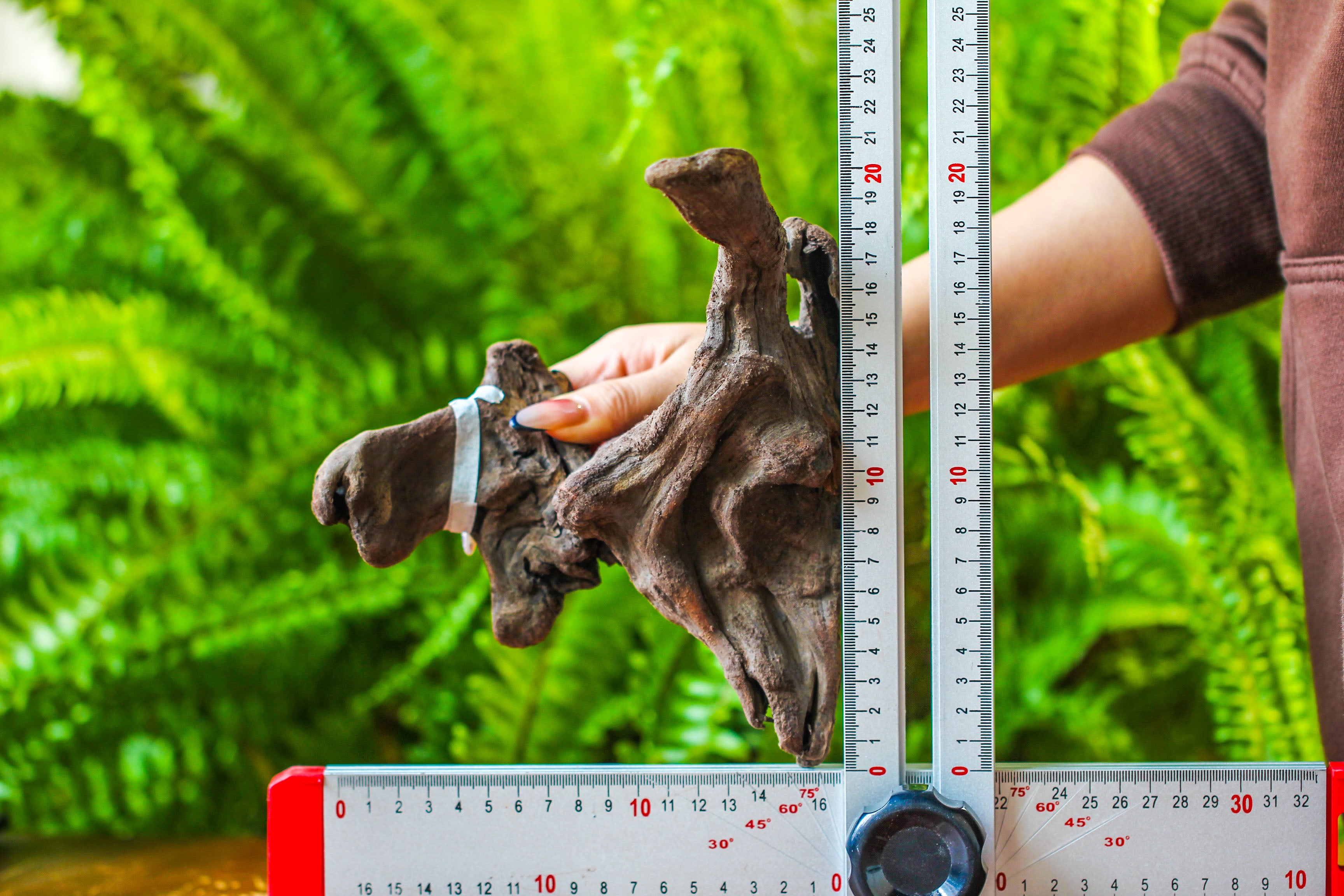 driftwood for moss terrarium, miniature, micro landscape, H019 - NCYPgarden