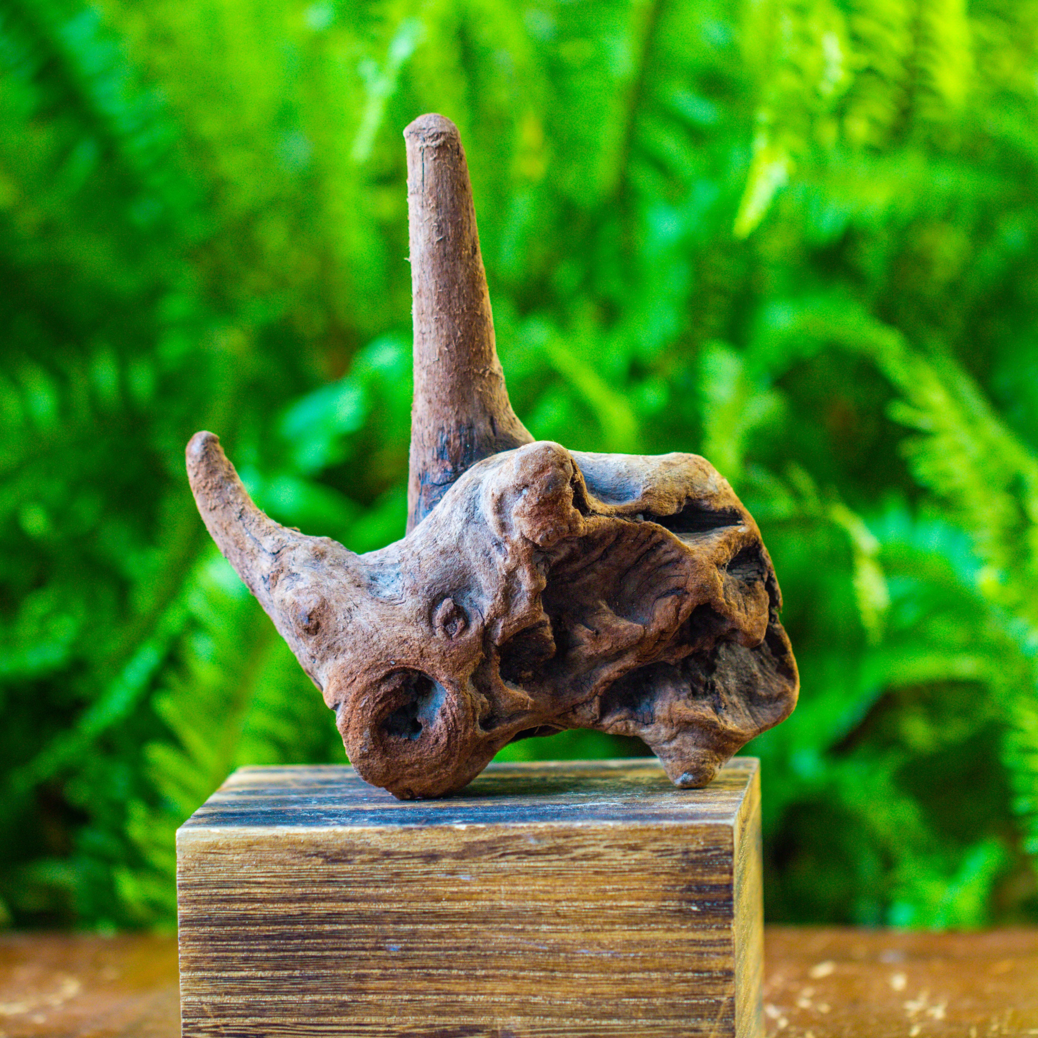 driftwood for moss terrarium, miniature, micro landscape, H015 - NCYPgarden