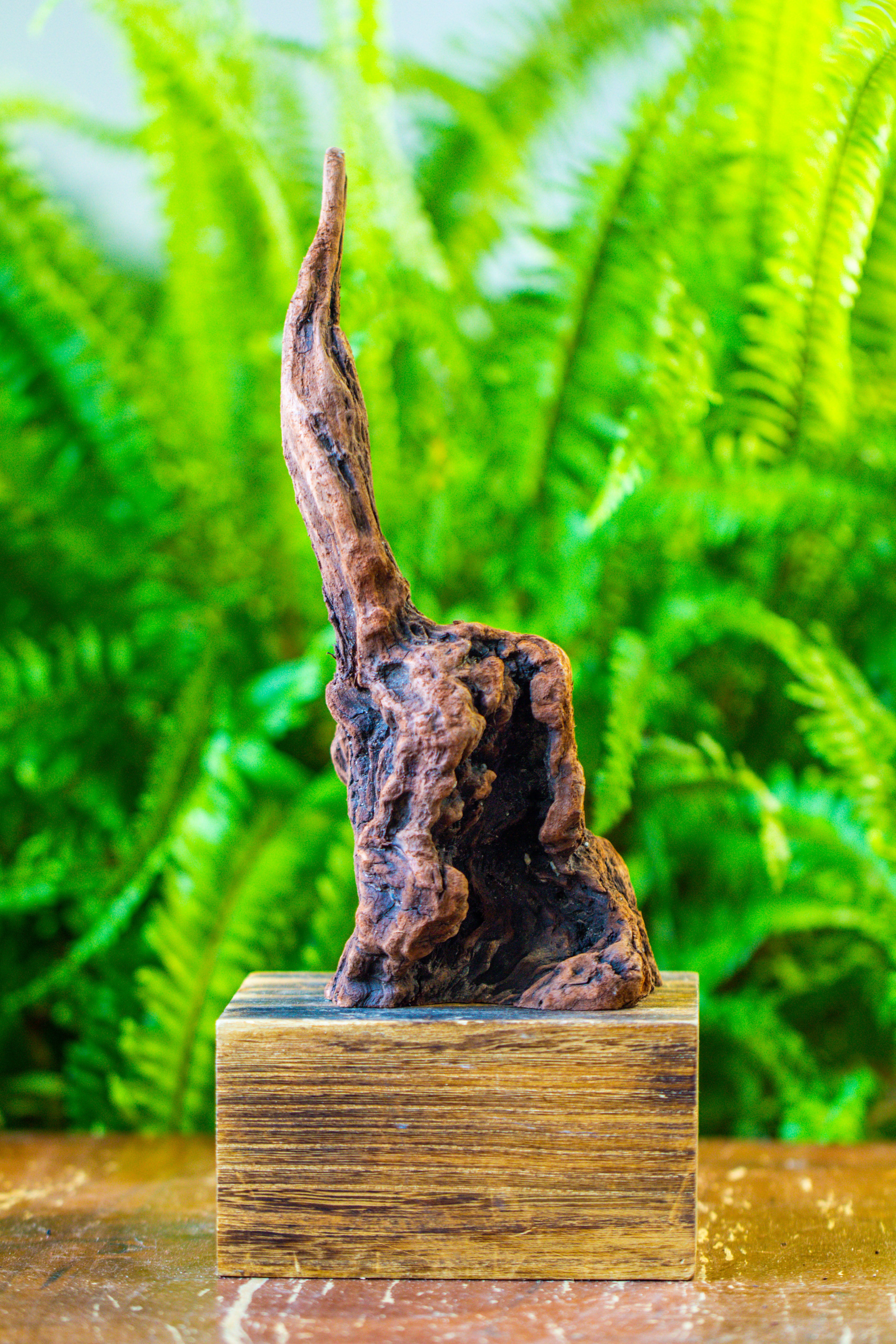 driftwood for moss terrarium, miniature, micro landscape, H017 - NCYPgarden