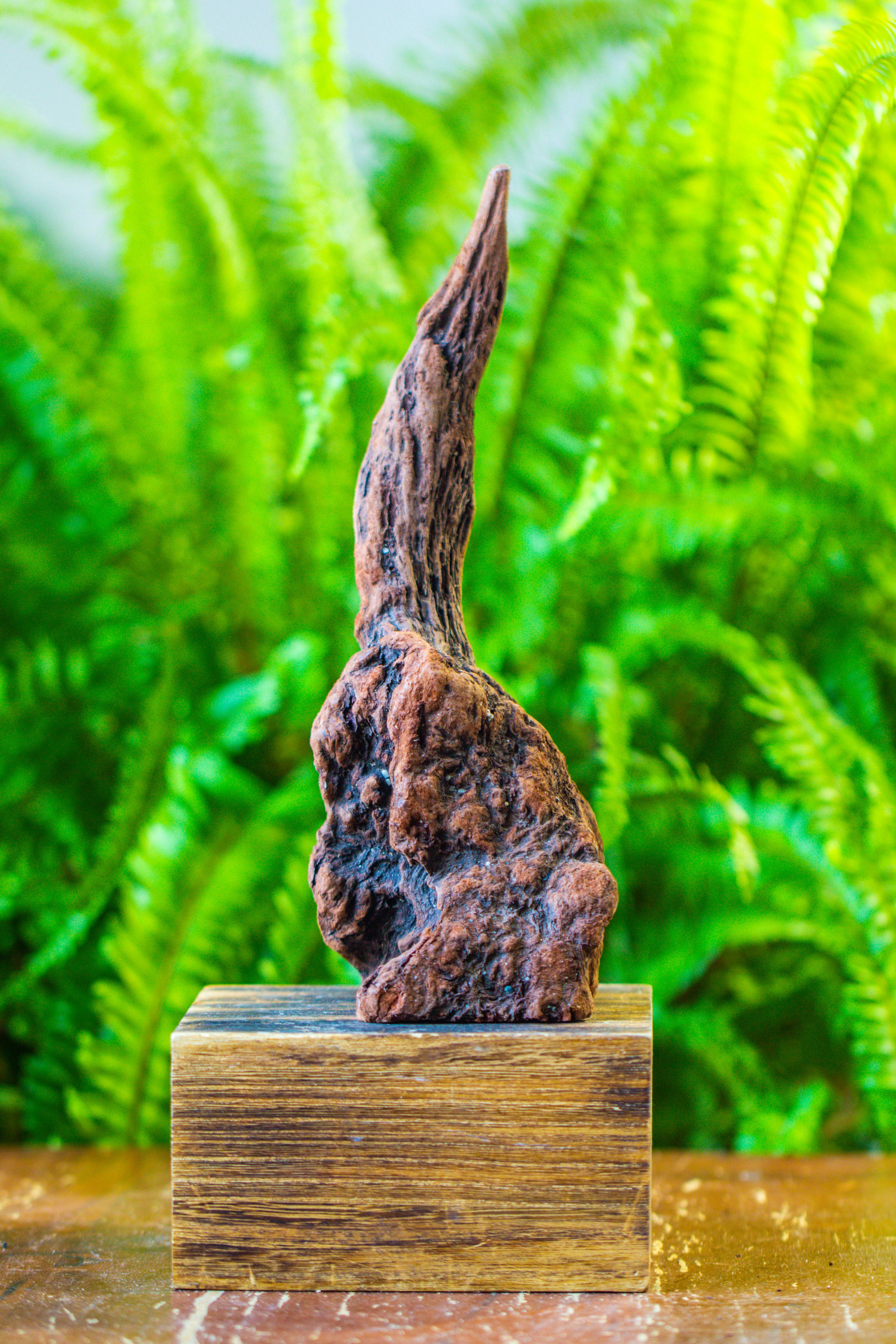 driftwood for moss terrarium, miniature, micro landscape, H017 - NCYPgarden