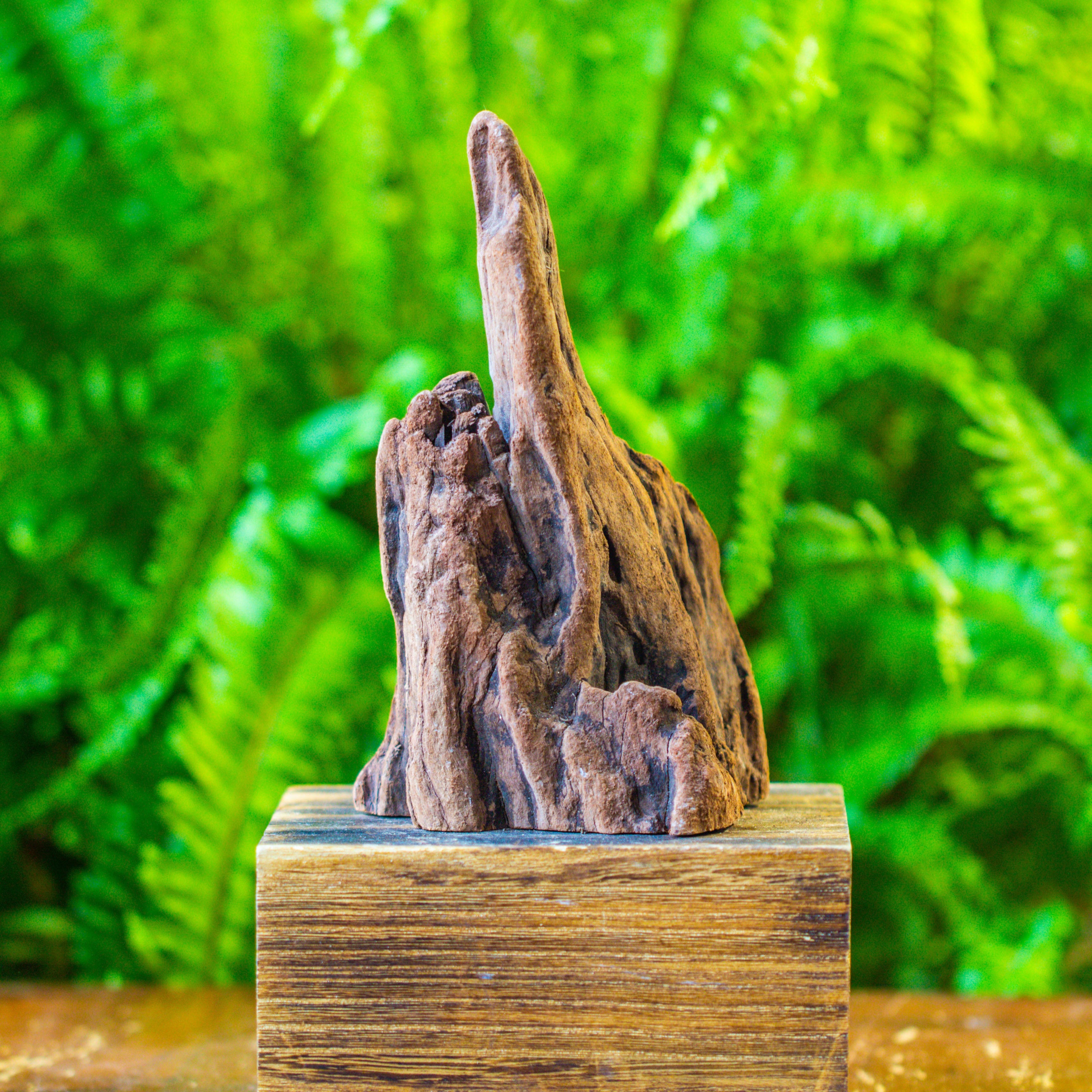driftwood for moss terrarium, miniature, micro landscape, H011 - NCYPgarden