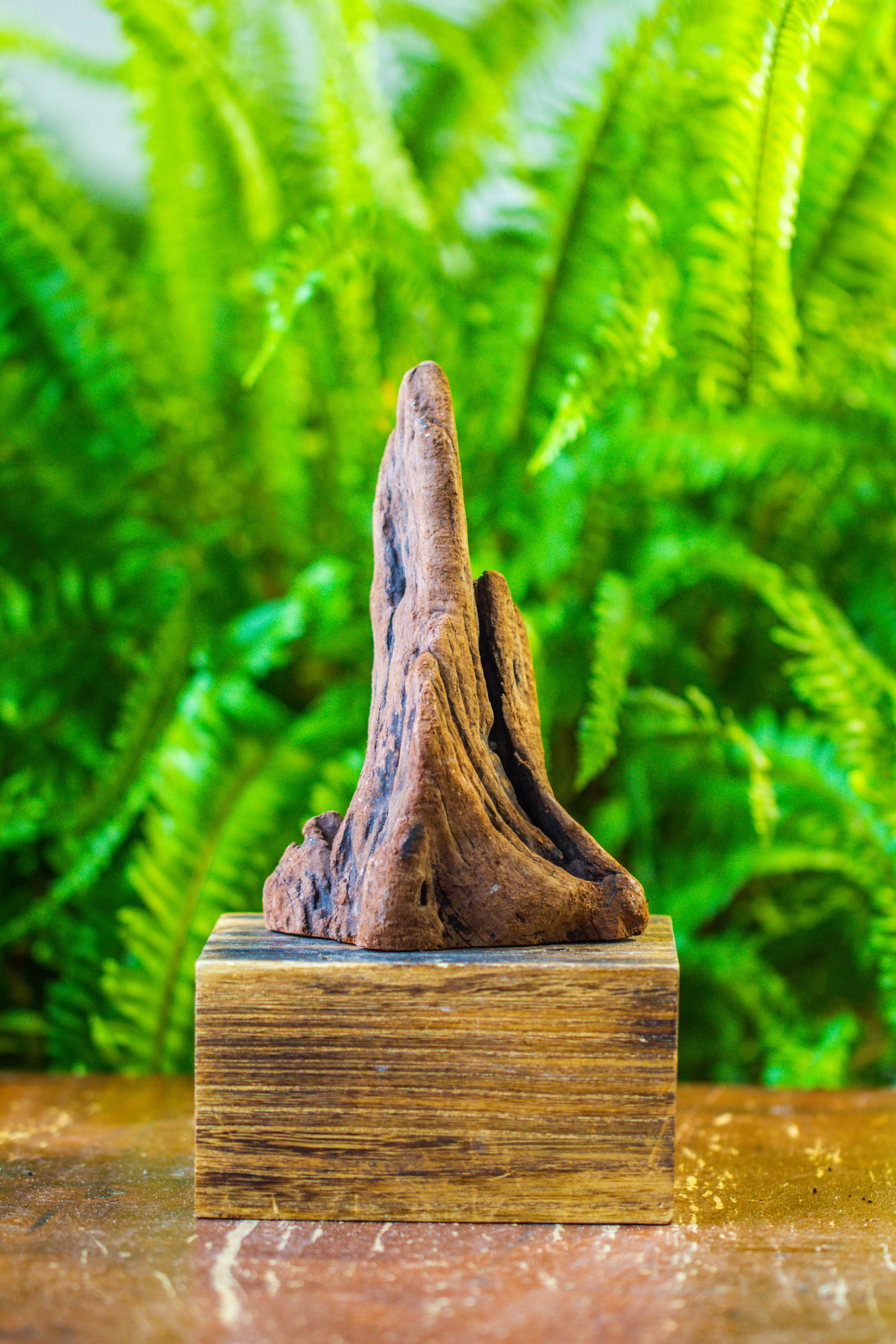 driftwood for moss terrarium, miniature, micro landscape, H011 - NCYPgarden
